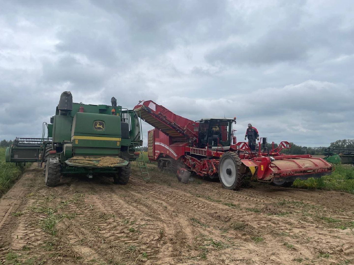 Дмитров, Агрохолдинг Дмитровские овощи, Минсельхоз,