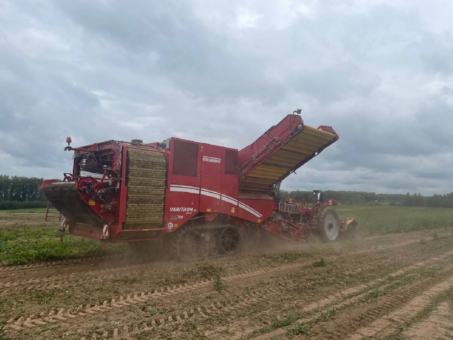 Дмитров, Агрохолдинг Дмитровские овощи, Минсельхоз,