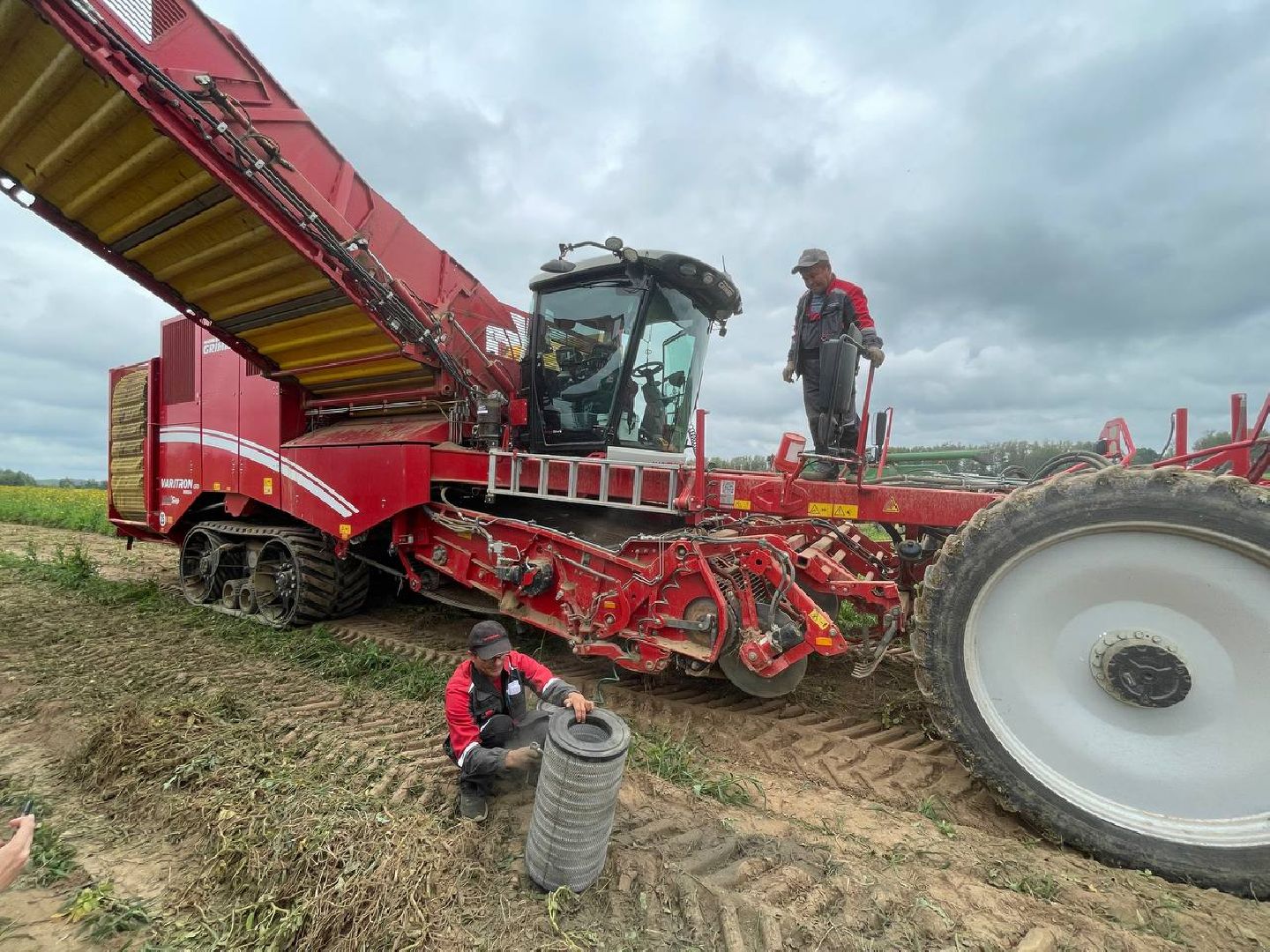 Дмитров, Агрохолдинг Дмитровские овощи, Минсельхоз,