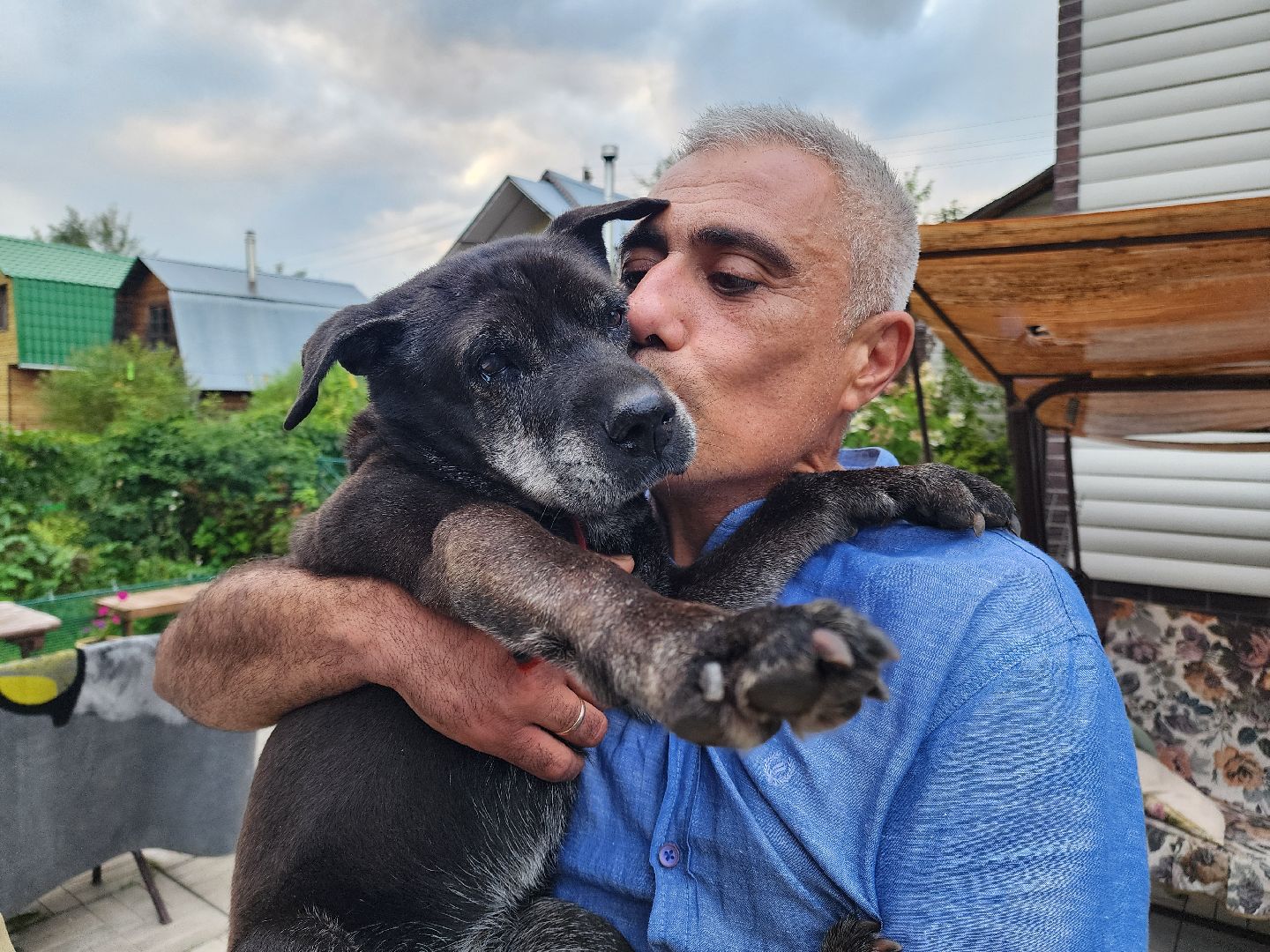 Подольск, зоозащитник, игорь айрапетян, Собаки, помощь животным,приют для собак,