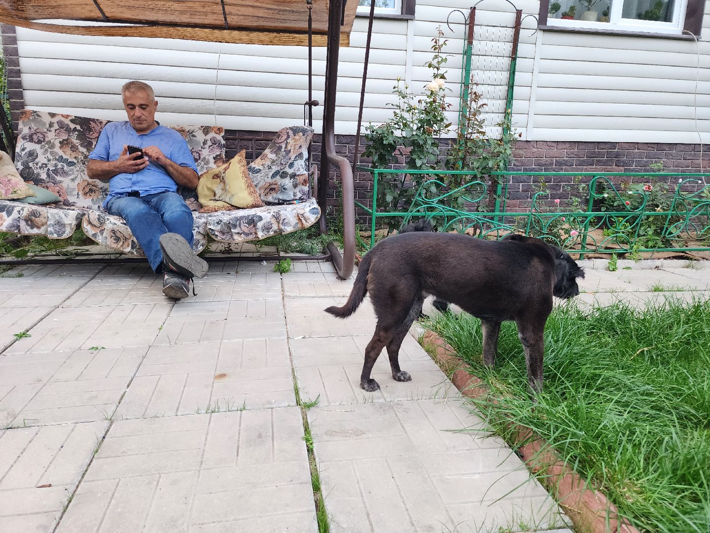 Подольск, зоозащитник, игорь айрапетян, Собаки, помощь животным,приют для собак,