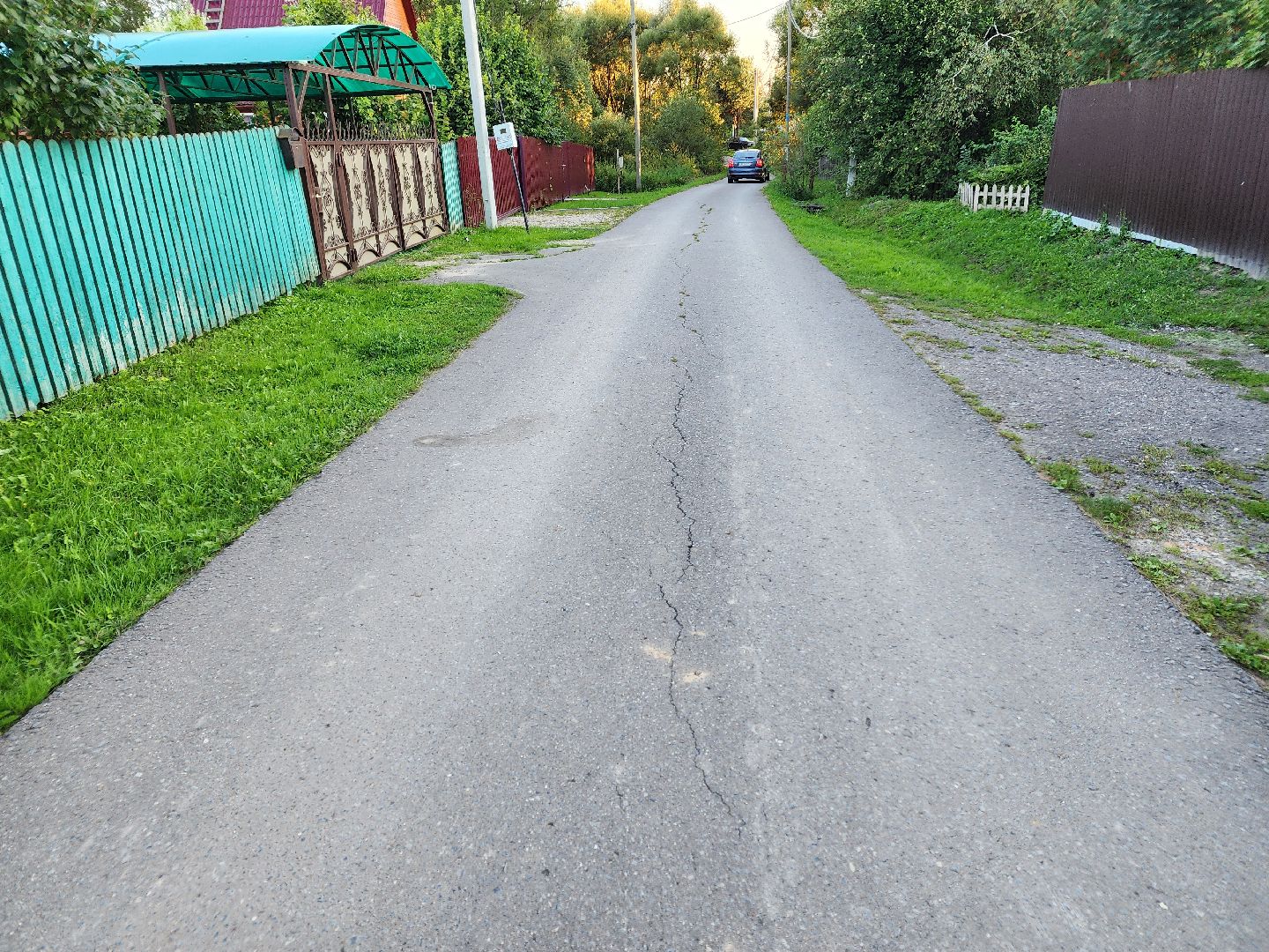 Чехов, село Стремилово, выездная администрация, встреча с жителями, обращения граждан, благоустройство, опиловка деревьев, дорожный ремонт, уличное освещение, улица Луговая,