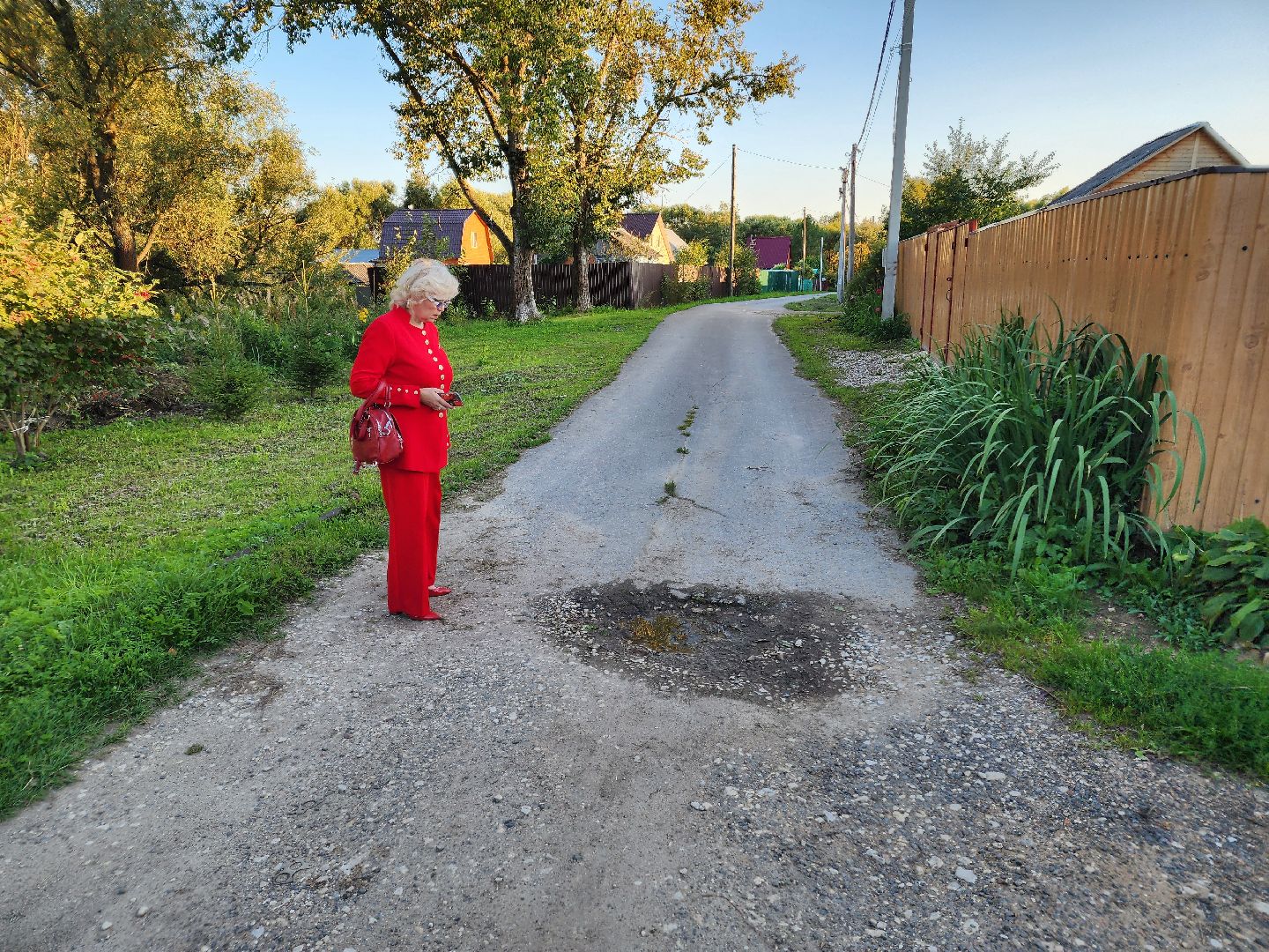 Чехов, село Стремилово, выездная администрация, встреча с жителями, обращения граждан, благоустройство, опиловка деревьев, дорожный ремонт, уличное освещение, улица Луговая,