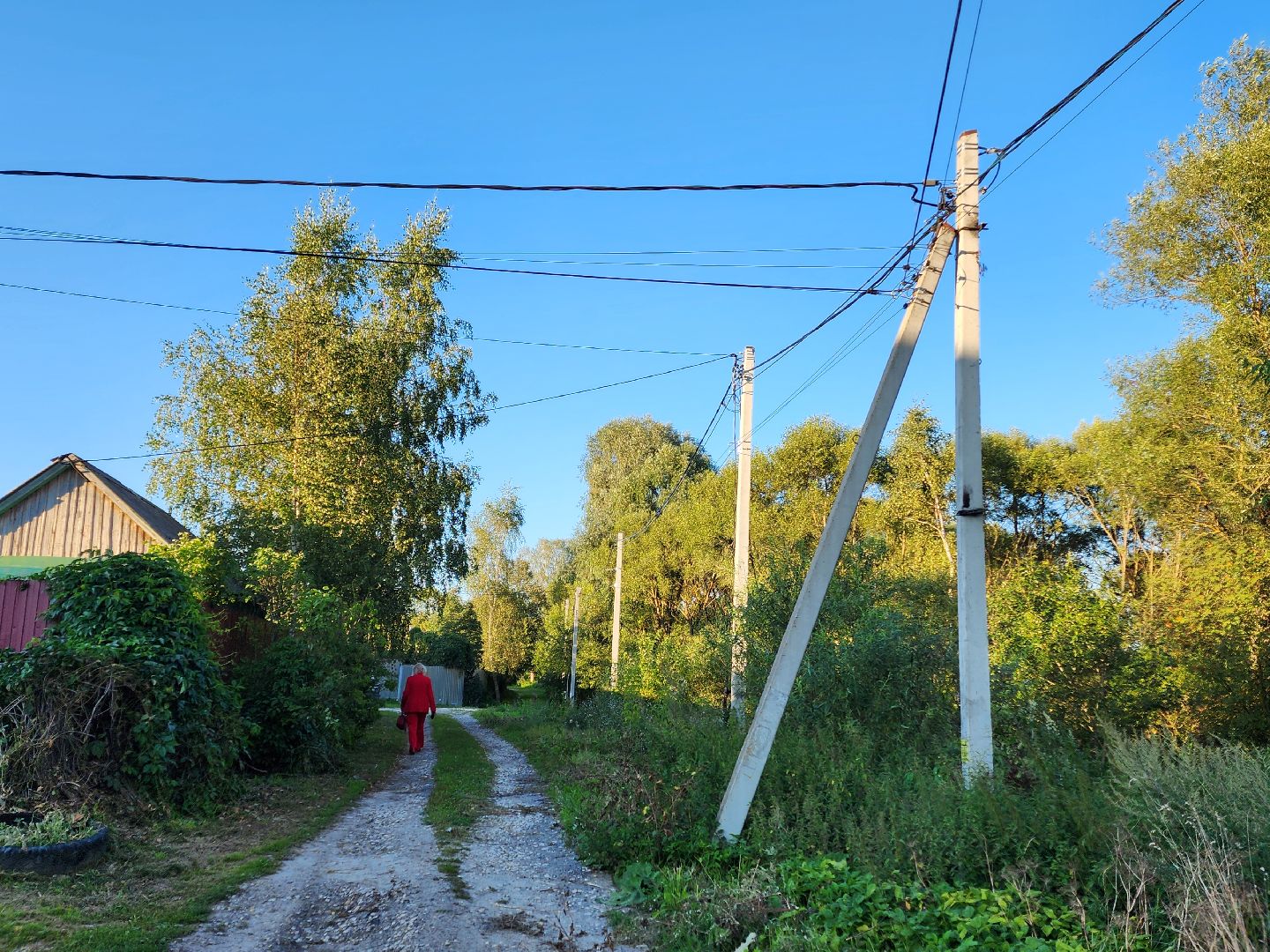 Чехов, село Стремилово, выездная администрация, встреча с жителями, обращения граждан, благоустройство, опиловка деревьев, дорожный ремонт, уличное освещение, улица Луговая,