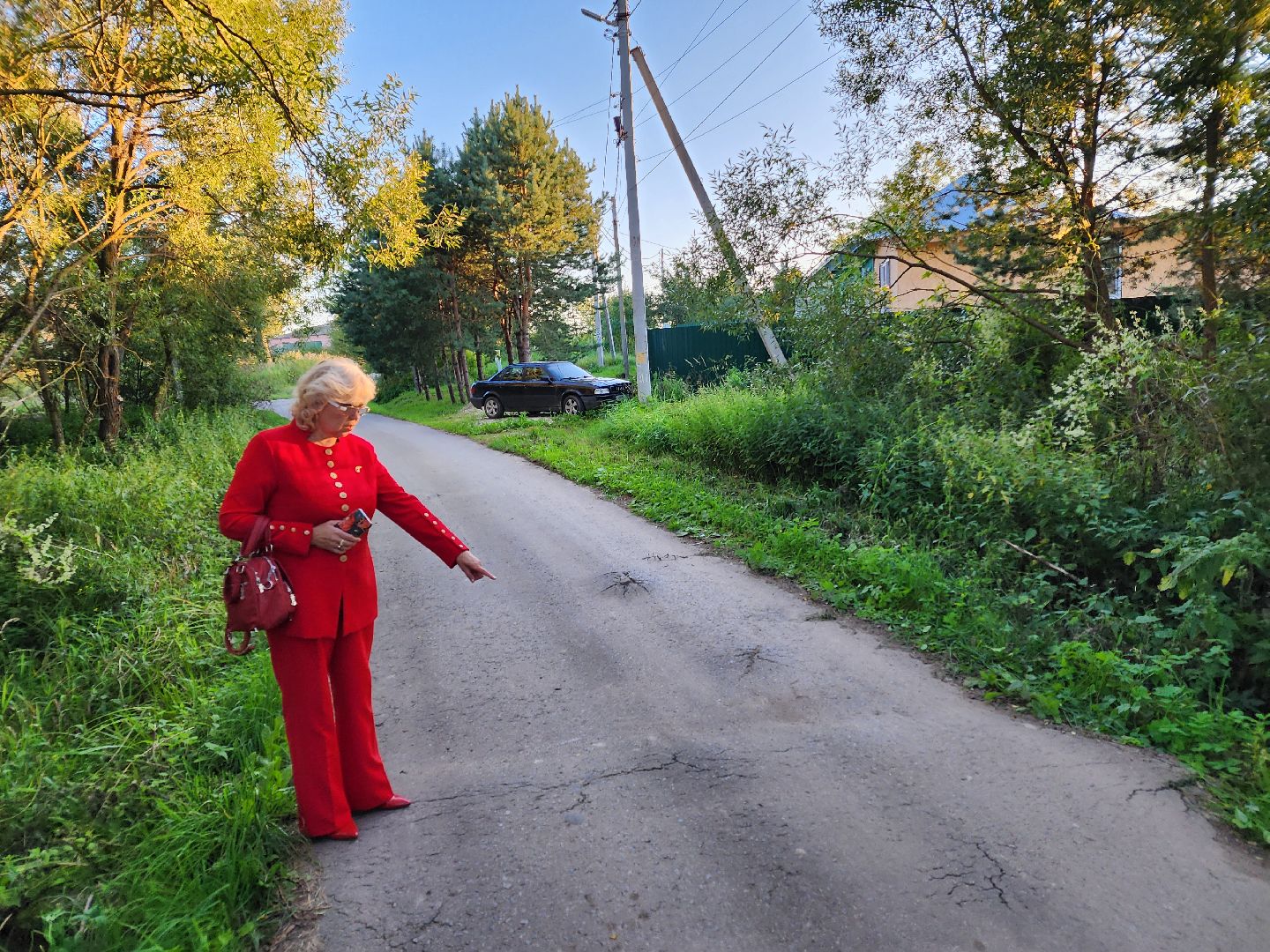 Чехов, село Стремилово, выездная администрация, встреча с жителями, обращения граждан, благоустройство, опиловка деревьев, дорожный ремонт, уличное освещение, улица Луговая,