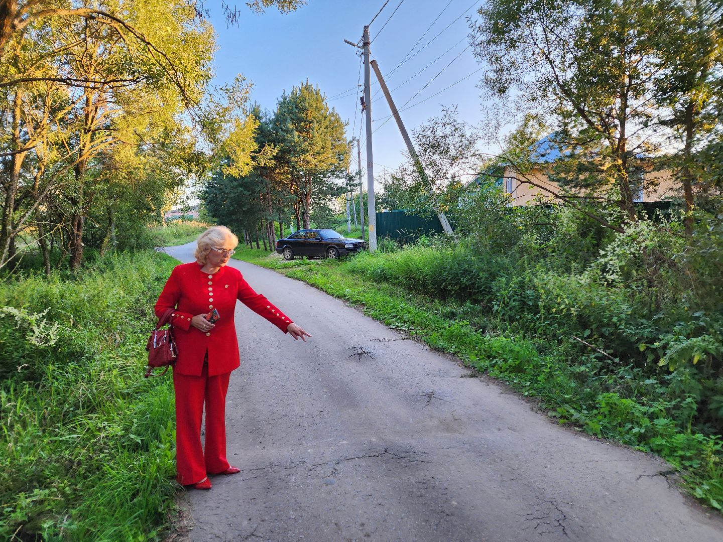 Чехов, село Стремилово, выездная администрация, встреча с жителями, обращения граждан, благоустройство, опиловка деревьев, дорожный ремонт, уличное освещение, улица Луговая,