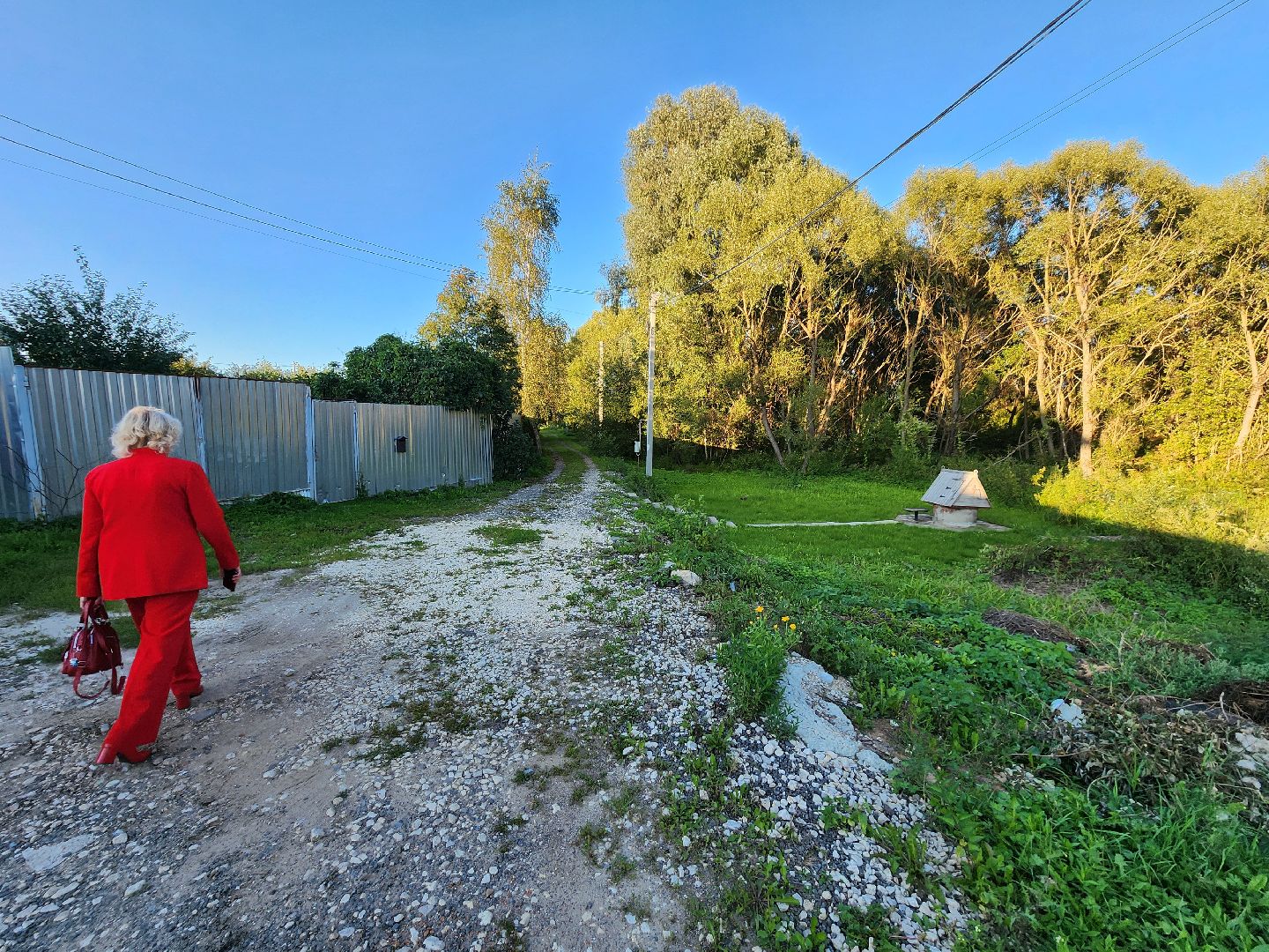Чехов, село Стремилово, выездная администрация, встреча с жителями, обращения граждан, благоустройство, опиловка деревьев, дорожный ремонт, уличное освещение, улица Луговая,
