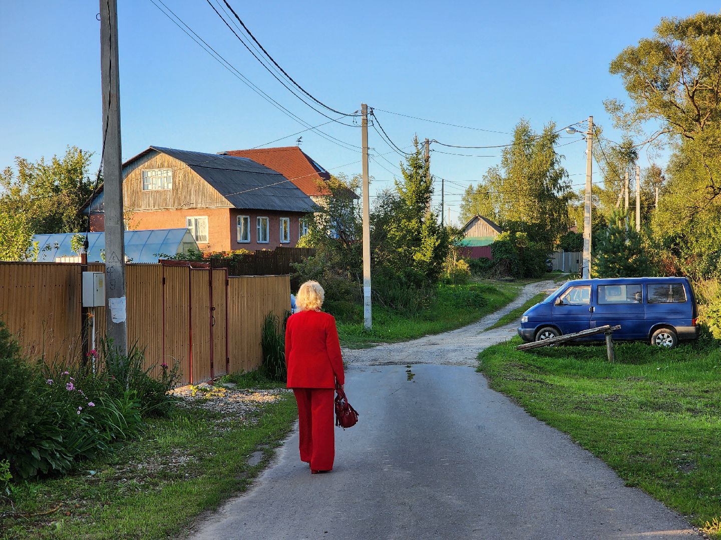 Чехов, село Стремилово, выездная администрация, встреча с жителями, обращения граждан, благоустройство, опиловка деревьев, дорожный ремонт, уличное освещение, улица Луговая,