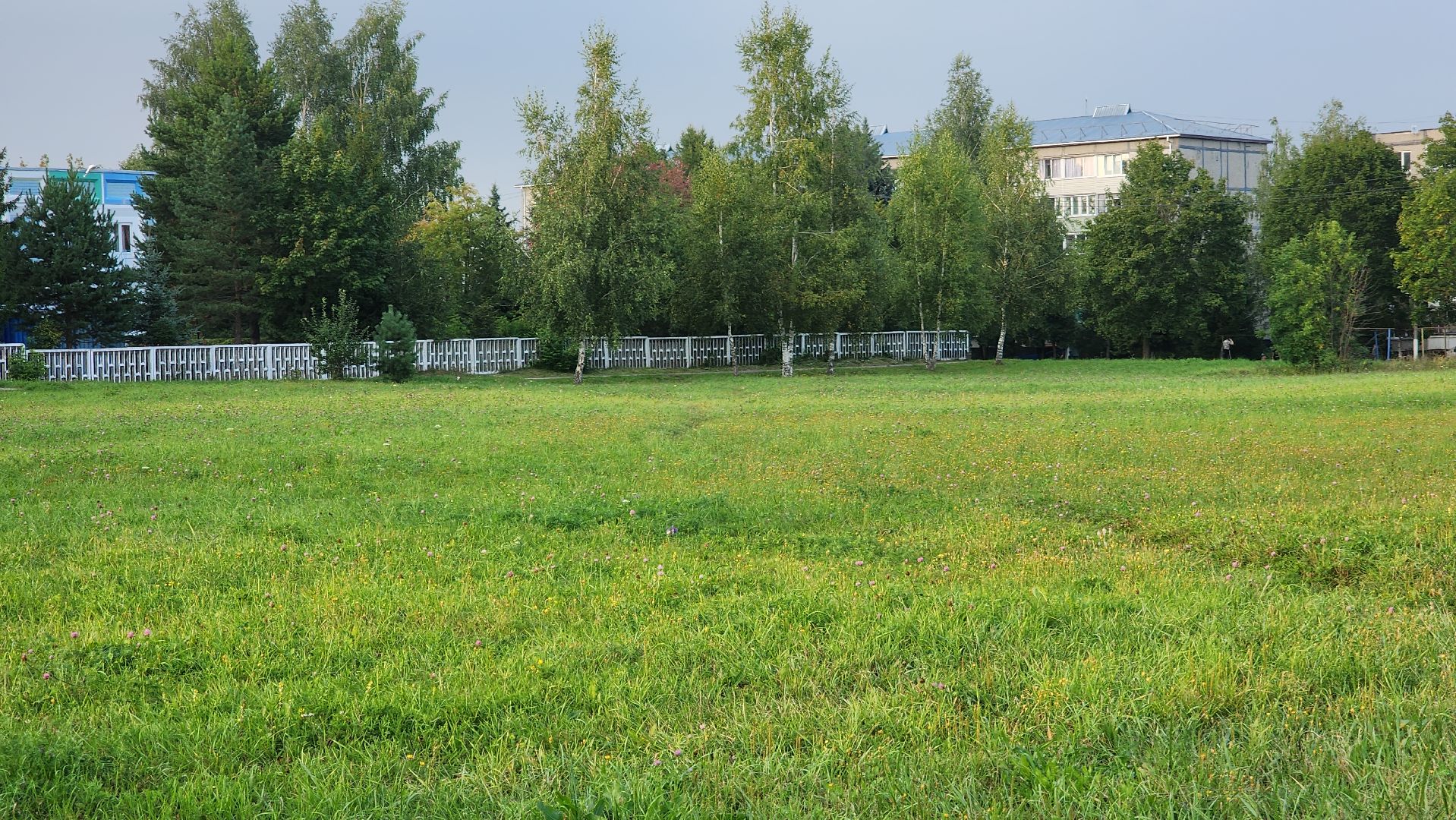 ступино, выездная администрация, спорт,