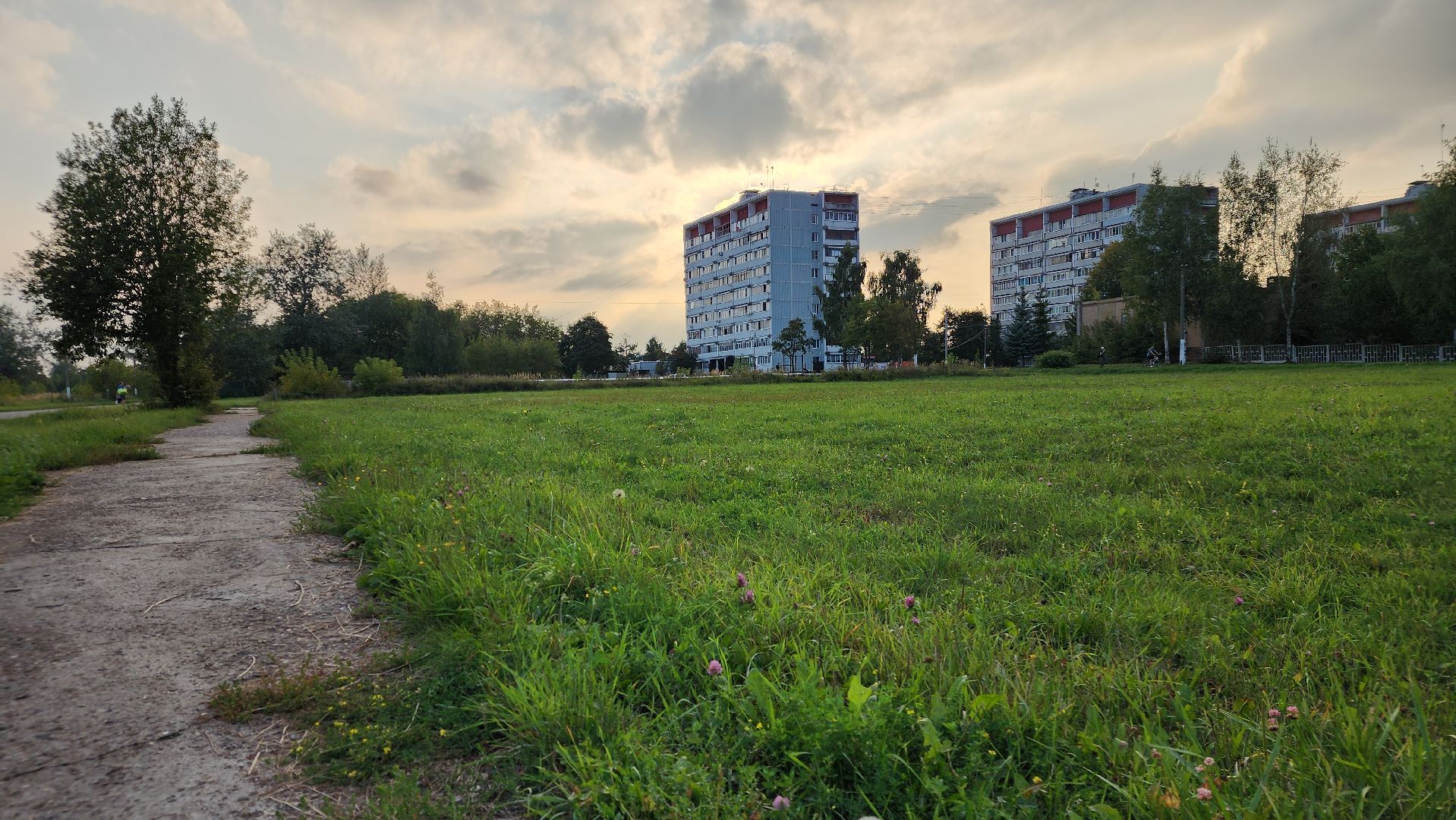 ступино, выездная администрация, спорт,