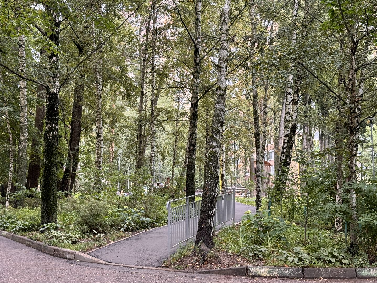 Народные тропы, Одинцово, Программа пешком,