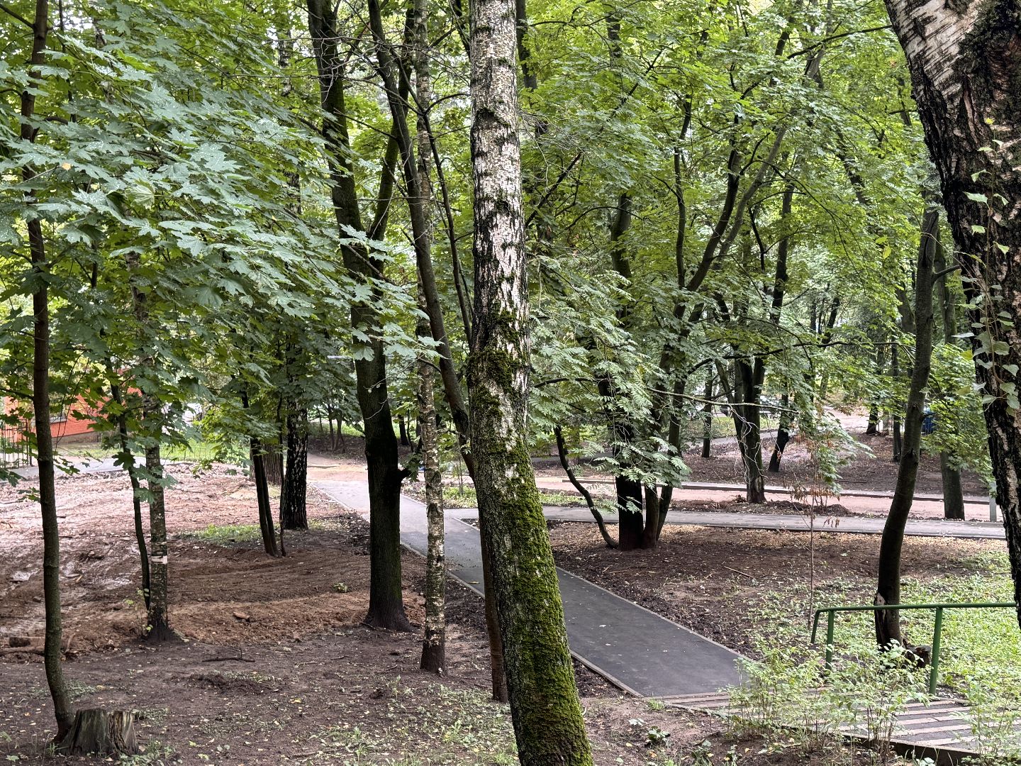 Народные тропы, Одинцово, Программа пешком,