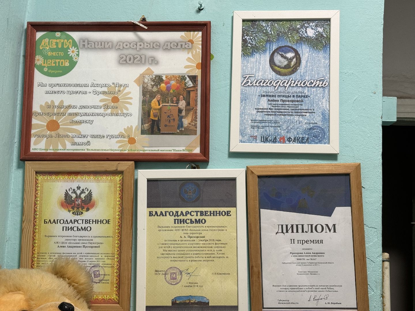 фрязино, помощь, большая семья наукограда,