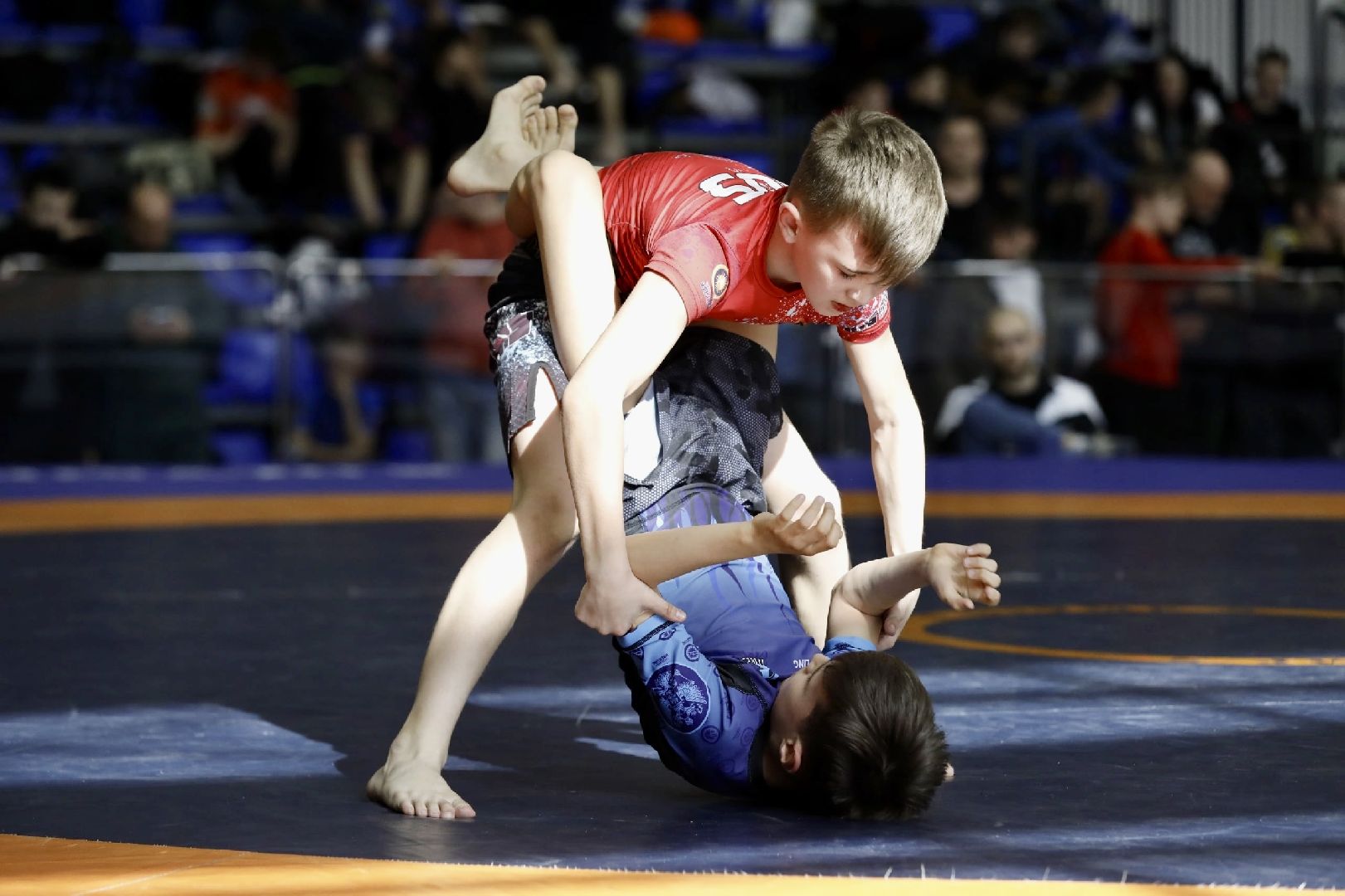 грэпплинг, спорт Подмосковья, первенство московской области, спортивная борьба, Наро-Фоминск. Наро-Фоминский городской округ