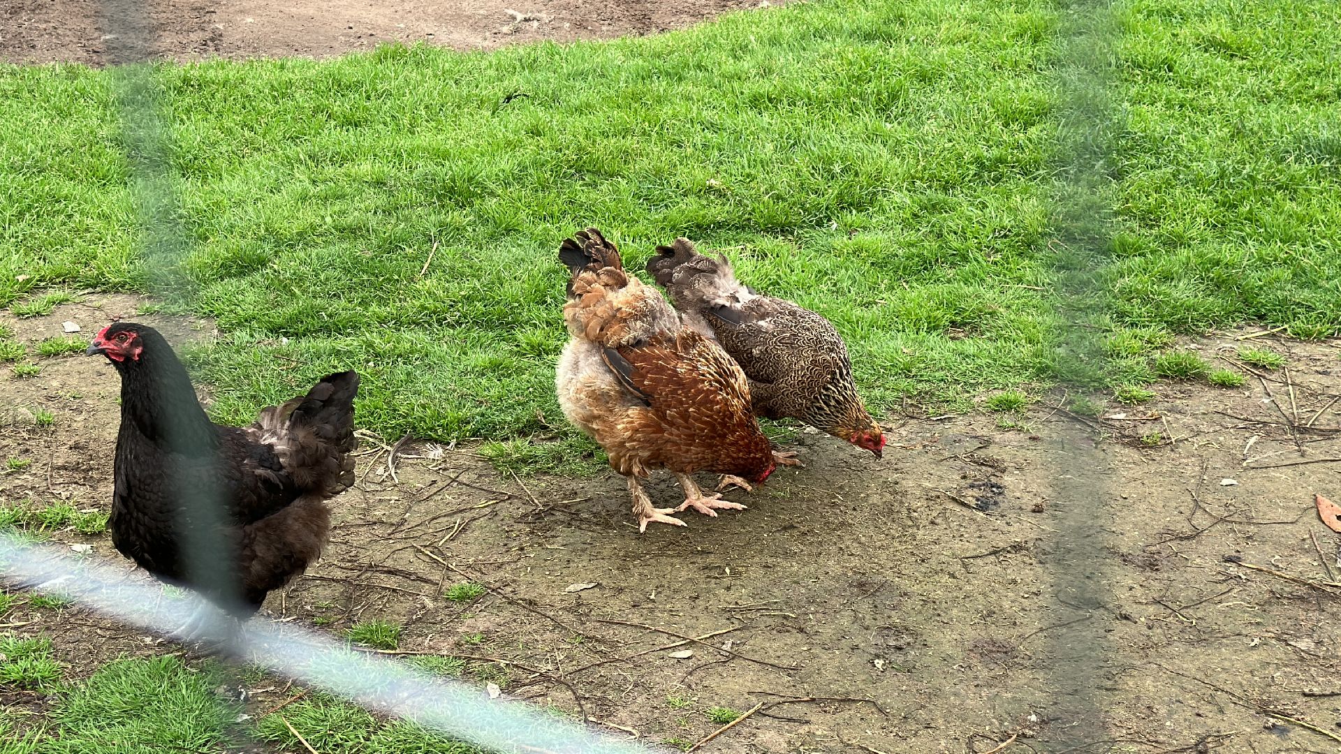 Клин, общество, ЧП, помощь, СВО, пожар,