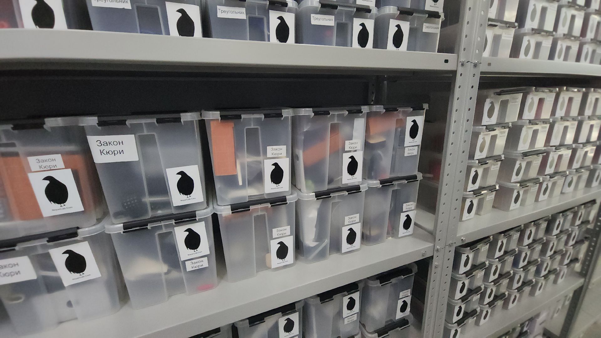 долгопрудный, физтех-лицей, Рейтинг школ России, олимпиадники, выпускники, мфти, система Капицы,