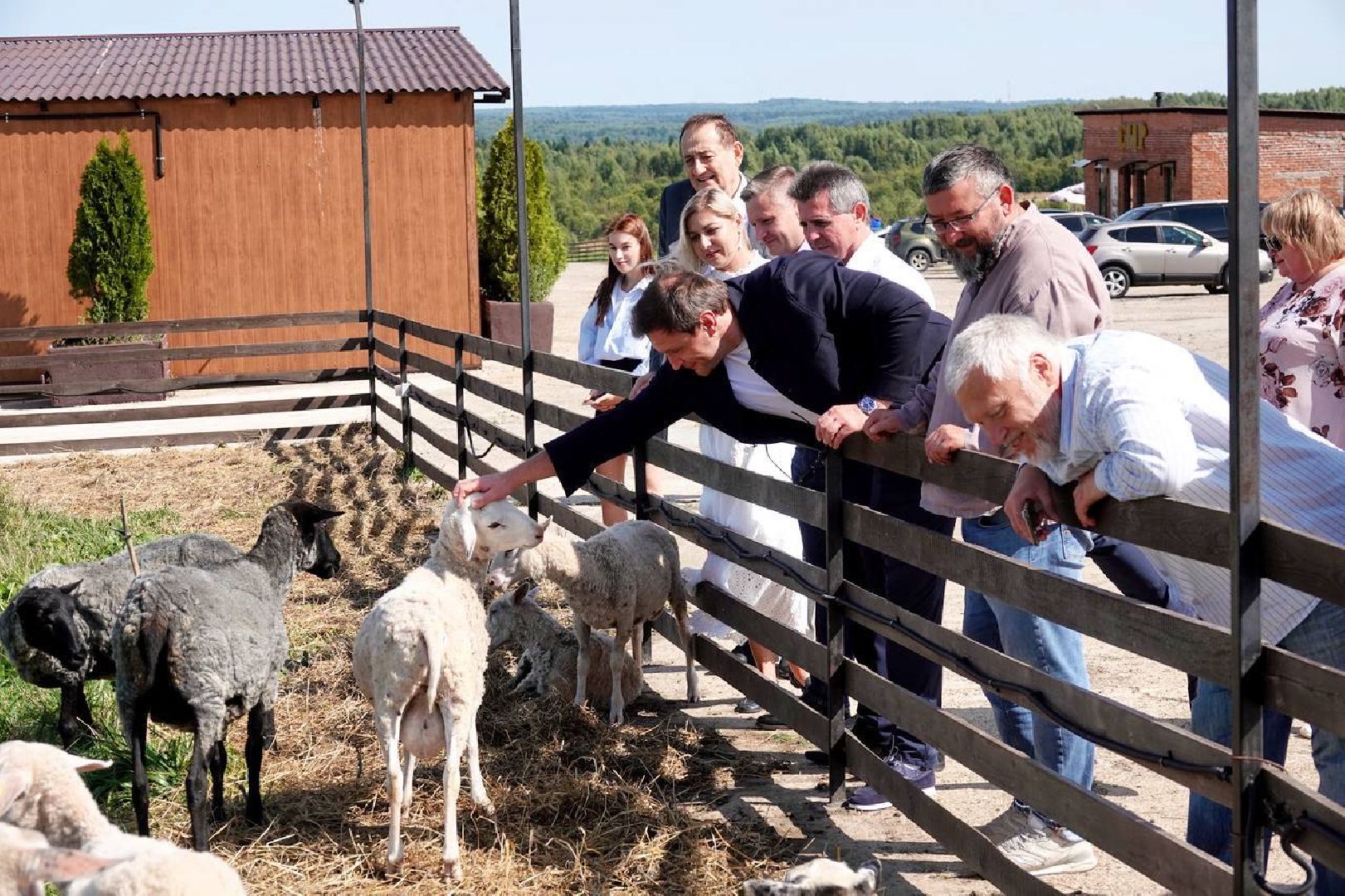 Сыр, Сельское хозяйство, Фермерство, Господдержка, Сыроварня, Фермерская продукция, Сергиево-Посадский городской округ,