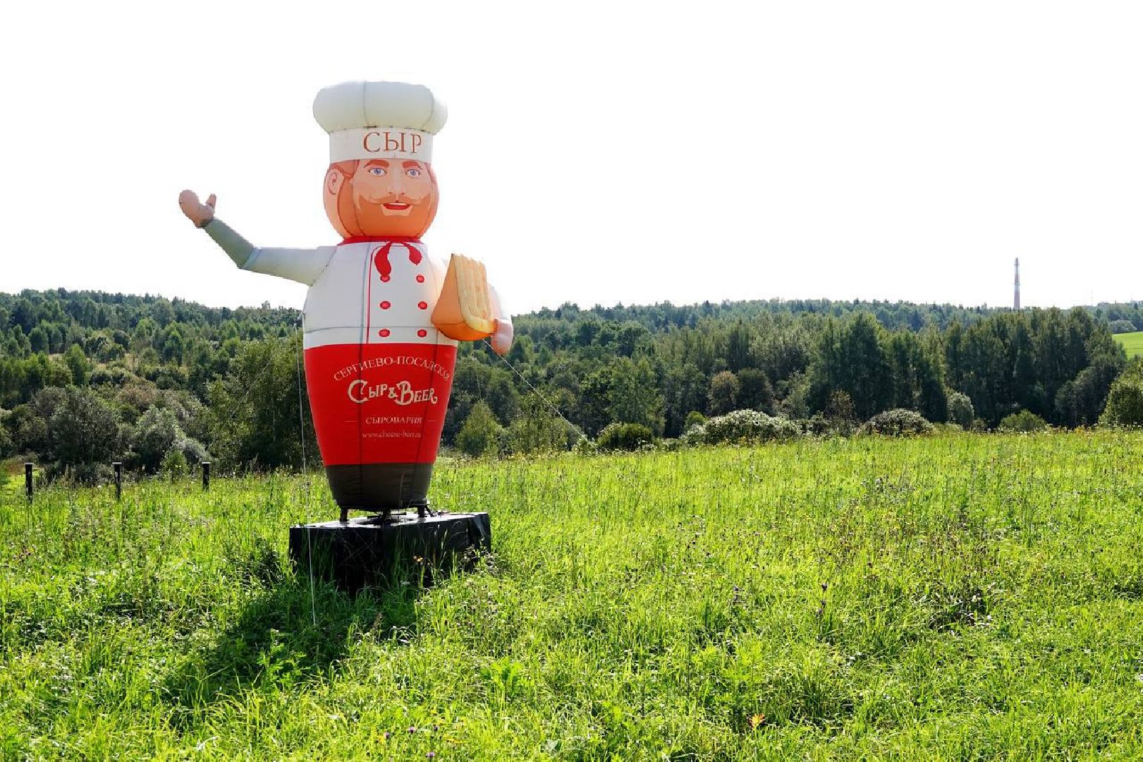 Сыр, Сельское хозяйство, Фермерство, Господдержка, Сыроварня, Фермерская продукция, Сергиево-Посадский городской округ,