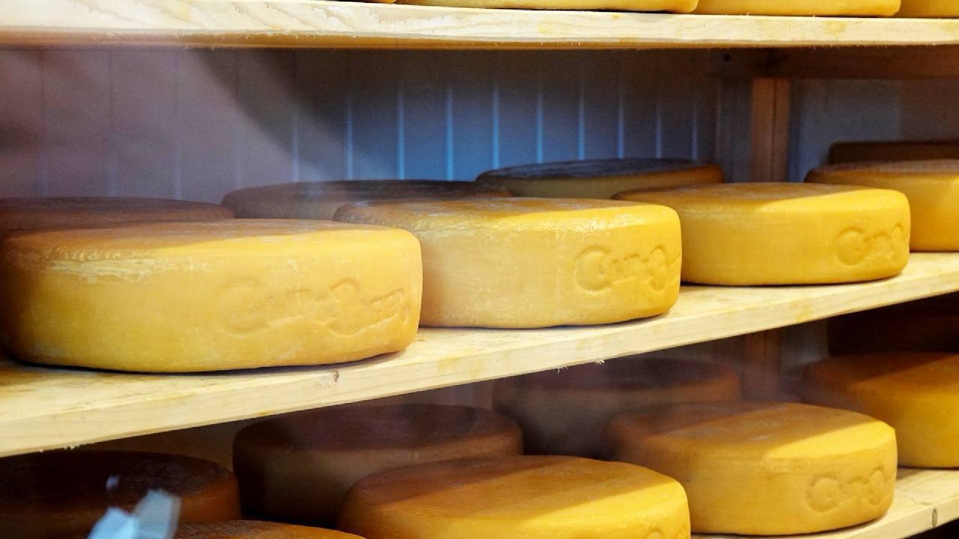 Сыр, Сельское хозяйство, Фермерство, Господдержка, Сыроварня, Фермерская продукция, Сергиево-Посадский городской округ,