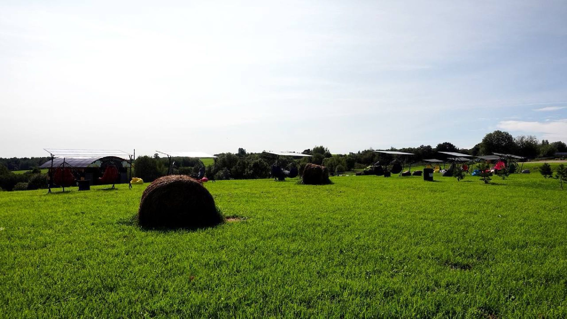 Сыр, Сельское хозяйство, Фермерство, Господдержка, Сыроварня, Фермерская продукция, Сергиево-Посадский городской округ,