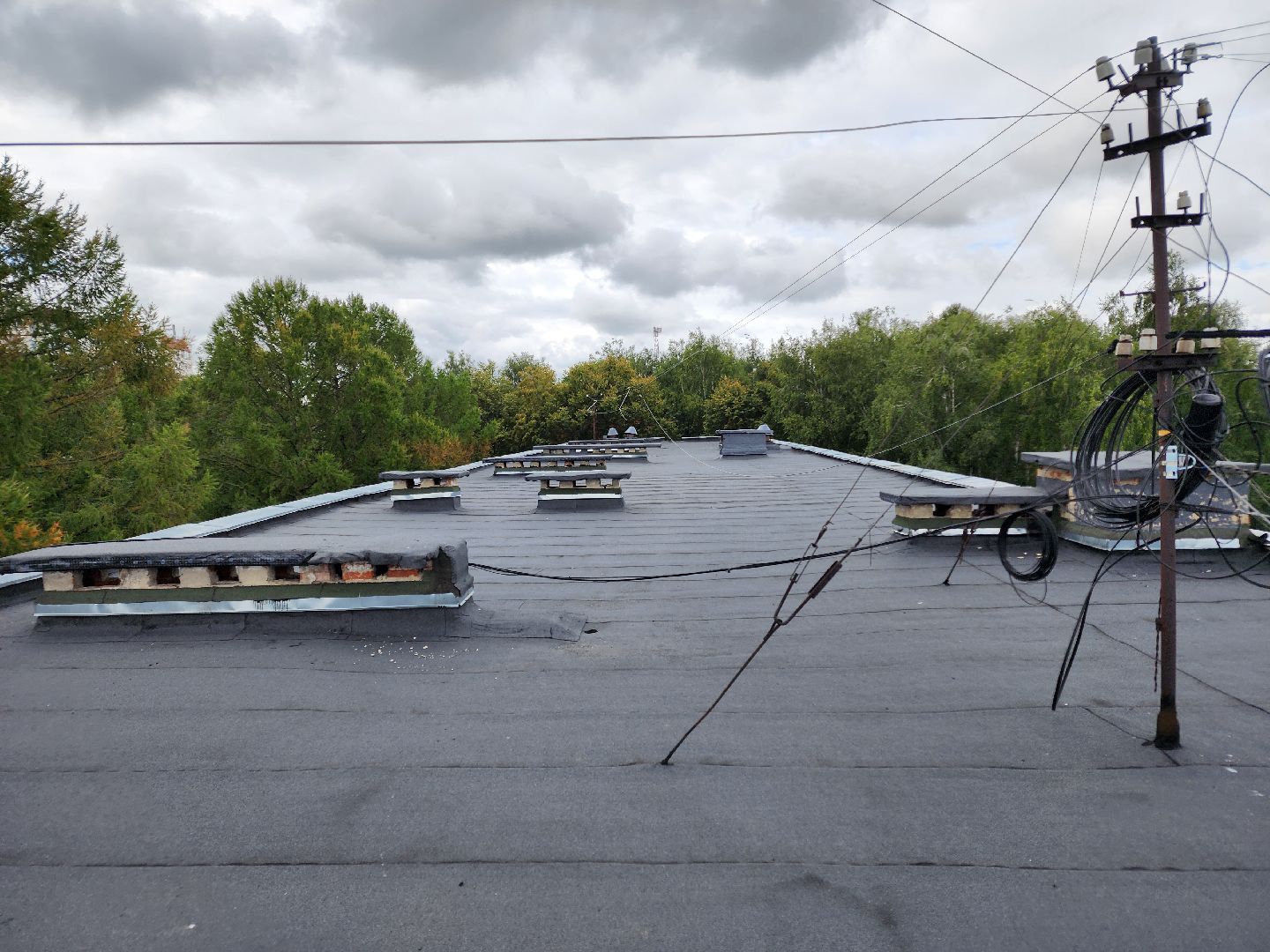 Чехов, школа 8, ремонт кровли, замена покрытия кровли, линокром, муниципальная программа Образование, гидроизоляция, теплоизоляция,