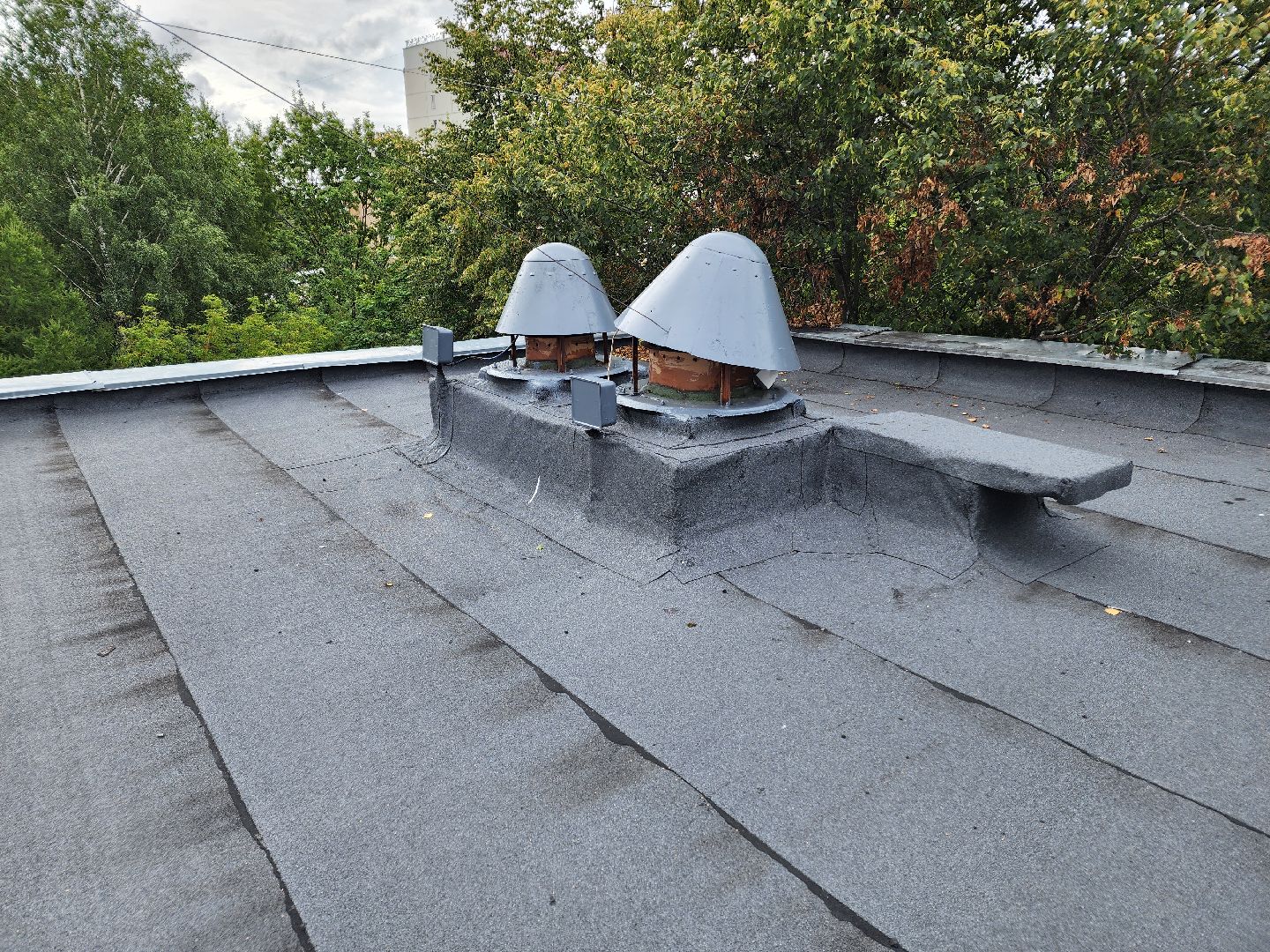 Чехов, школа 8, ремонт кровли, замена покрытия кровли, линокром, муниципальная программа Образование, гидроизоляция, теплоизоляция,