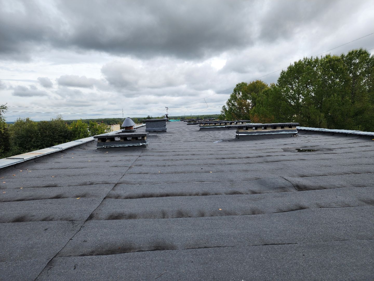 Чехов, школа 8, ремонт кровли, замена покрытия кровли, линокром, муниципальная программа Образование, гидроизоляция, теплоизоляция,