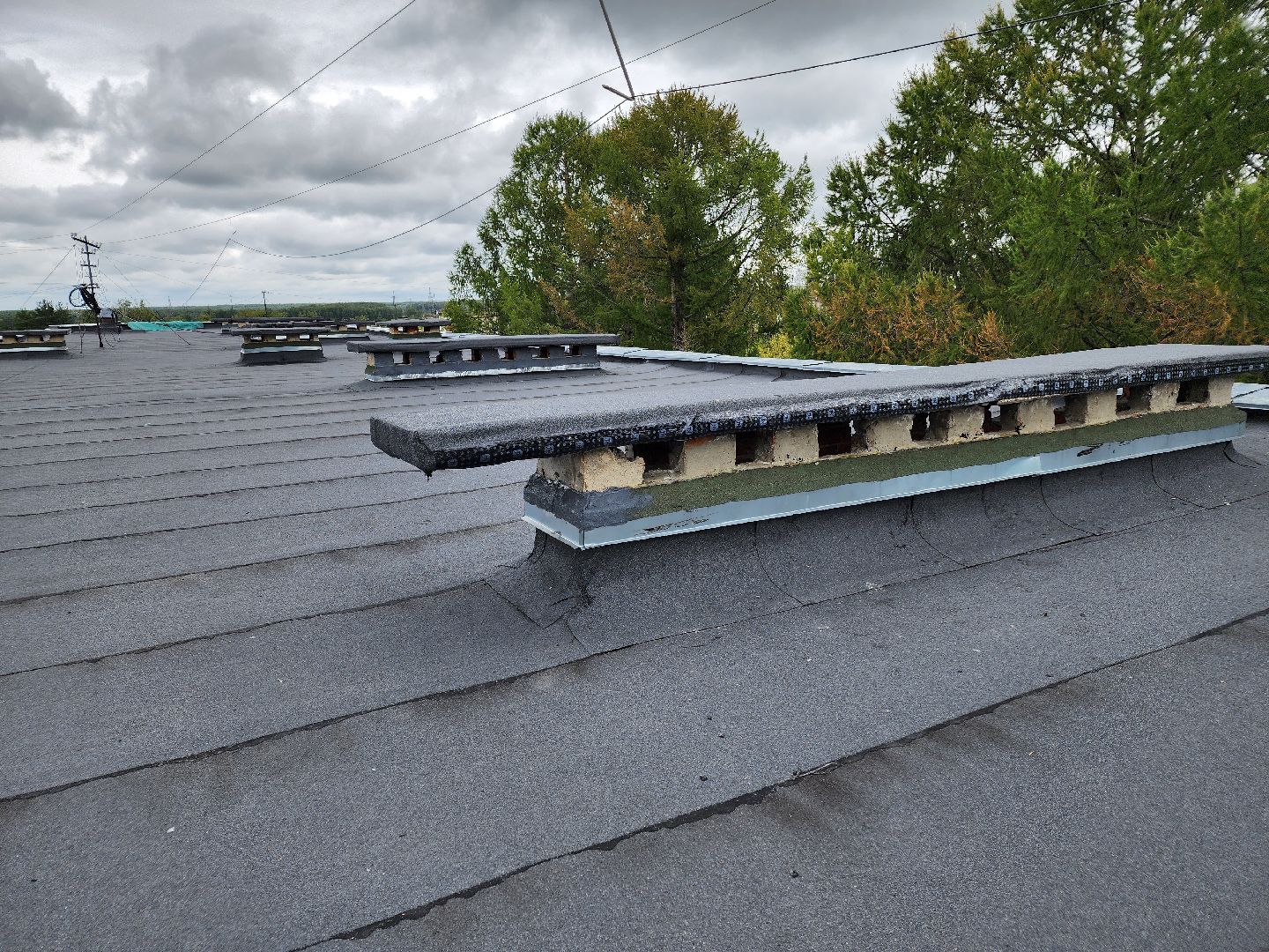 Чехов, школа 8, ремонт кровли, замена покрытия кровли, линокром, муниципальная программа Образование, гидроизоляция, теплоизоляция,