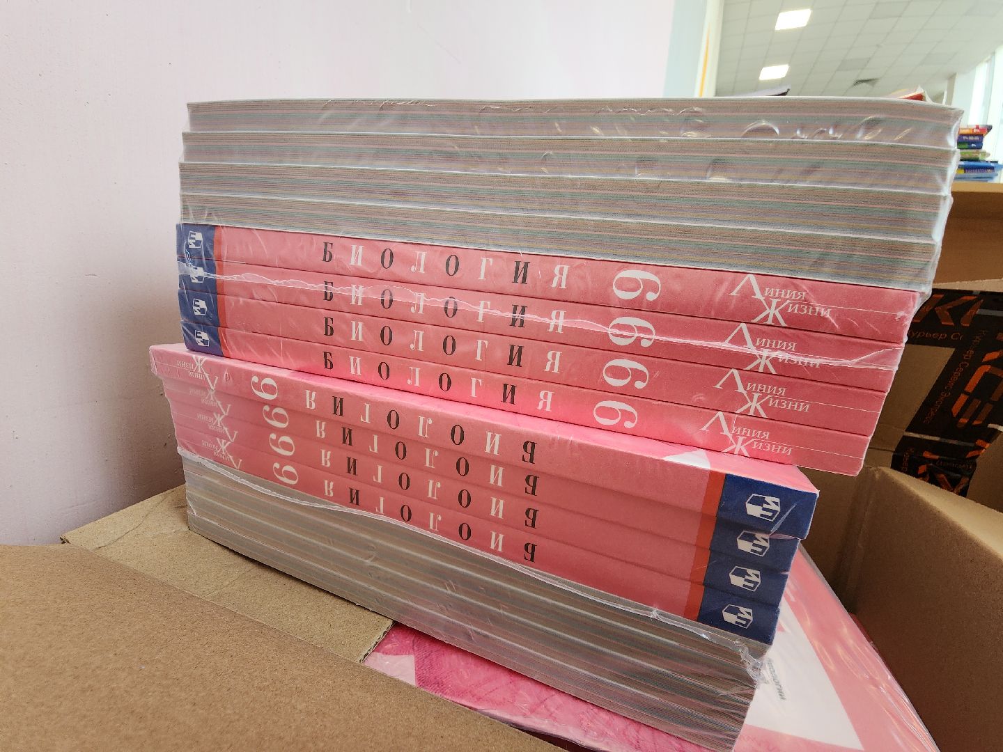 образование, образование в подмосковье, образование рузский округ, школьная библиотека, руза, рузский городской округ,