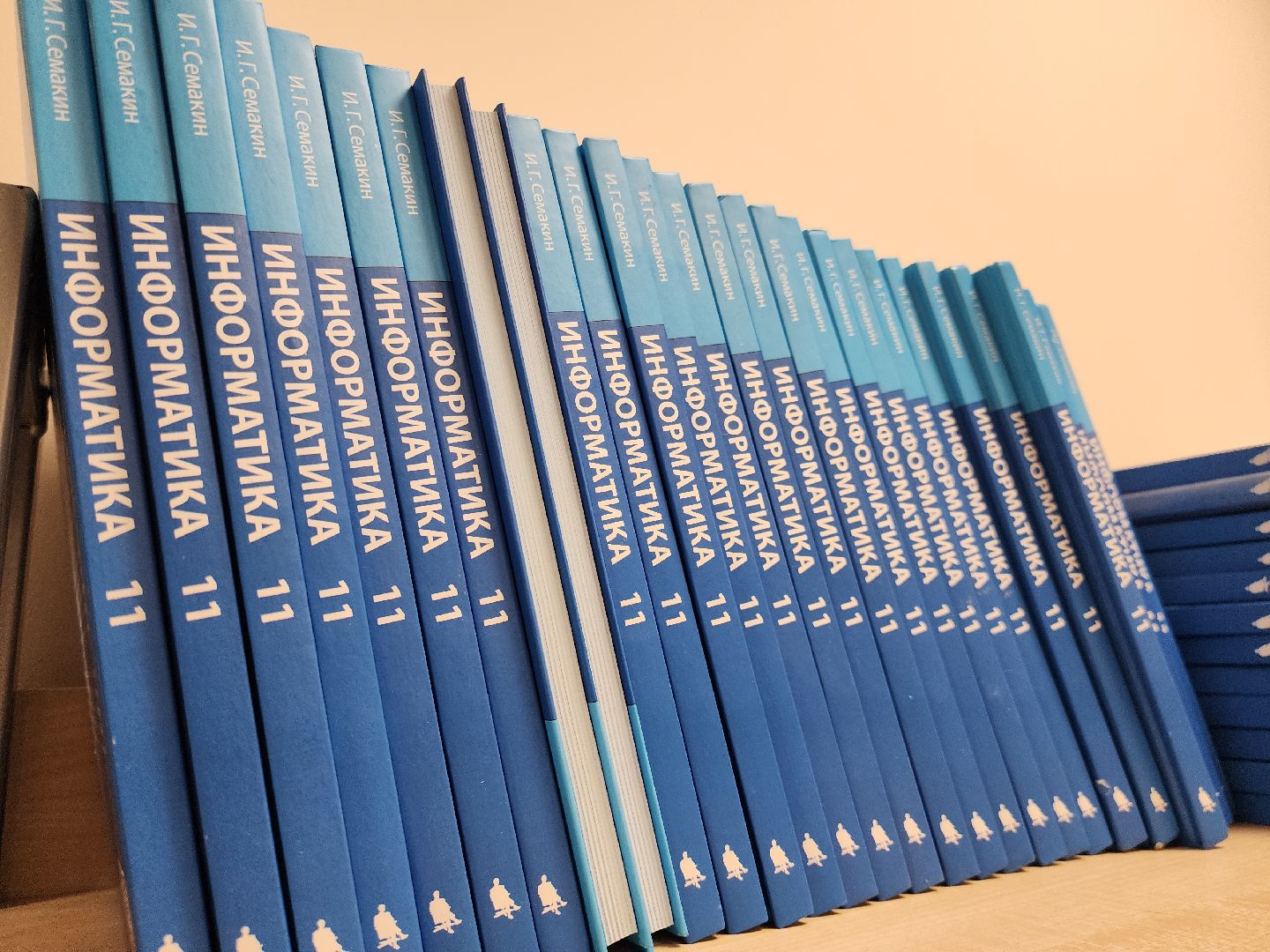 образование, образование в подмосковье, образование рузский округ, школьная библиотека, руза, рузский городской округ,