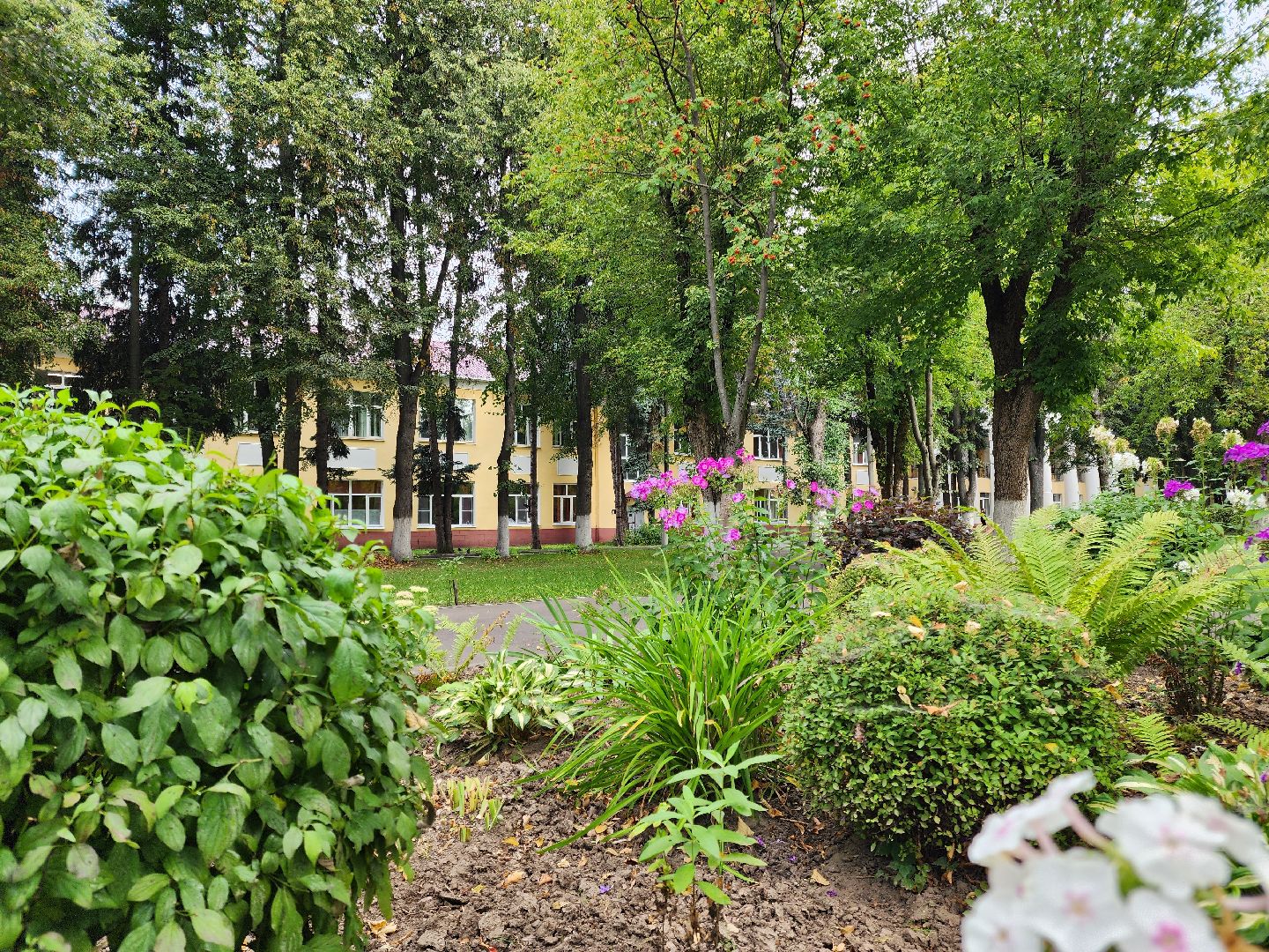 Подольск, социальная ипотека, покб, медсестра,