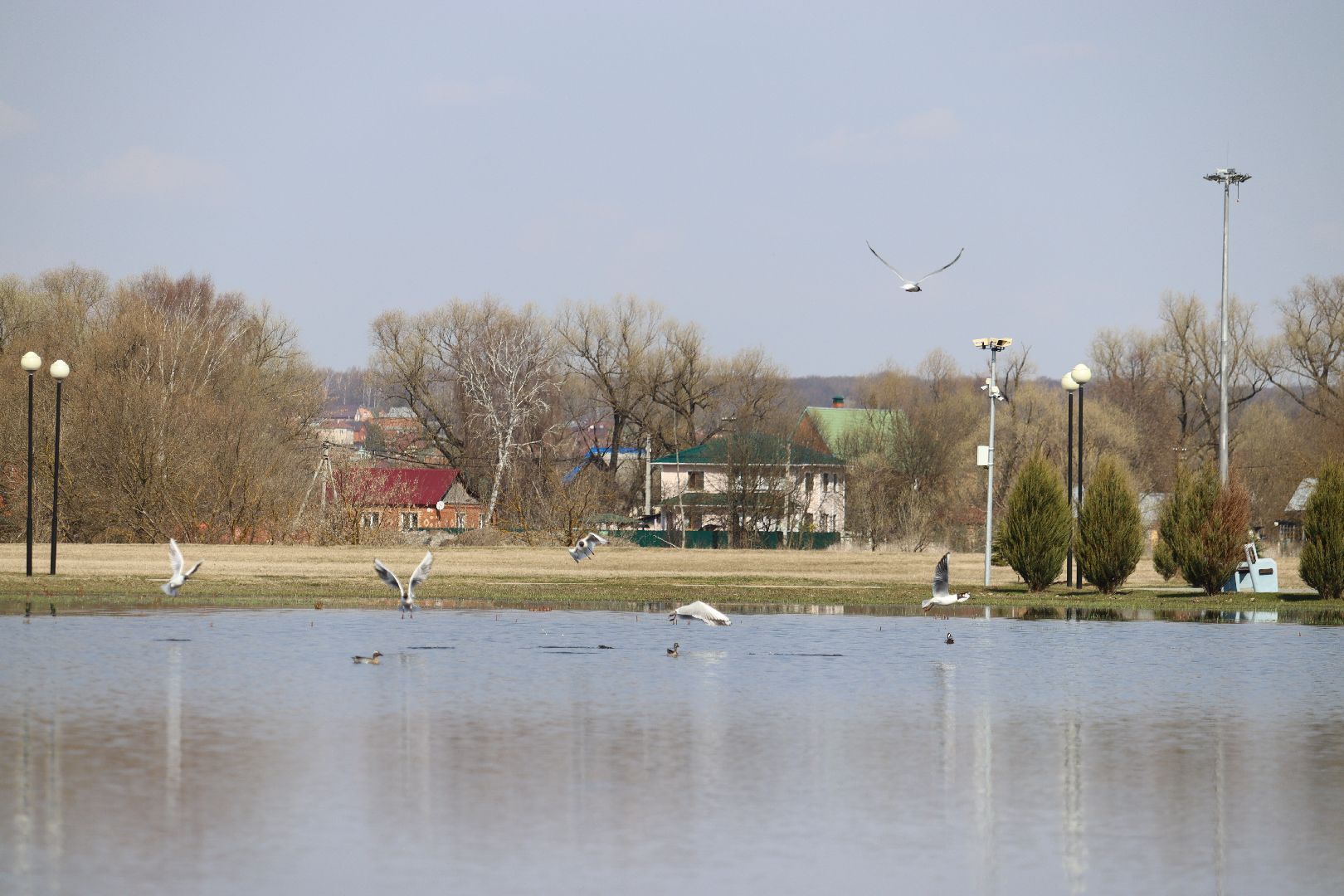 Серебряные Пруды, парк, половодье, природа
