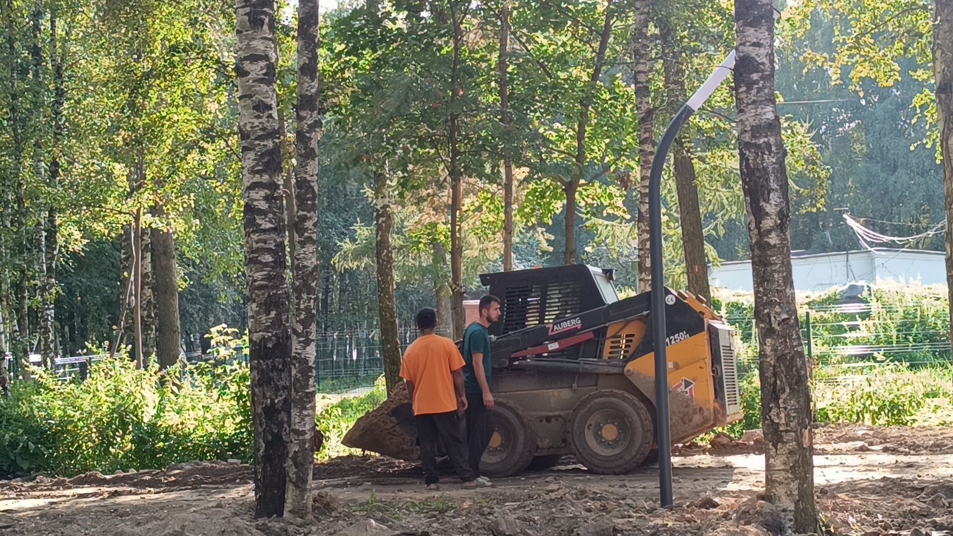 парк, реконструкция, лобня,