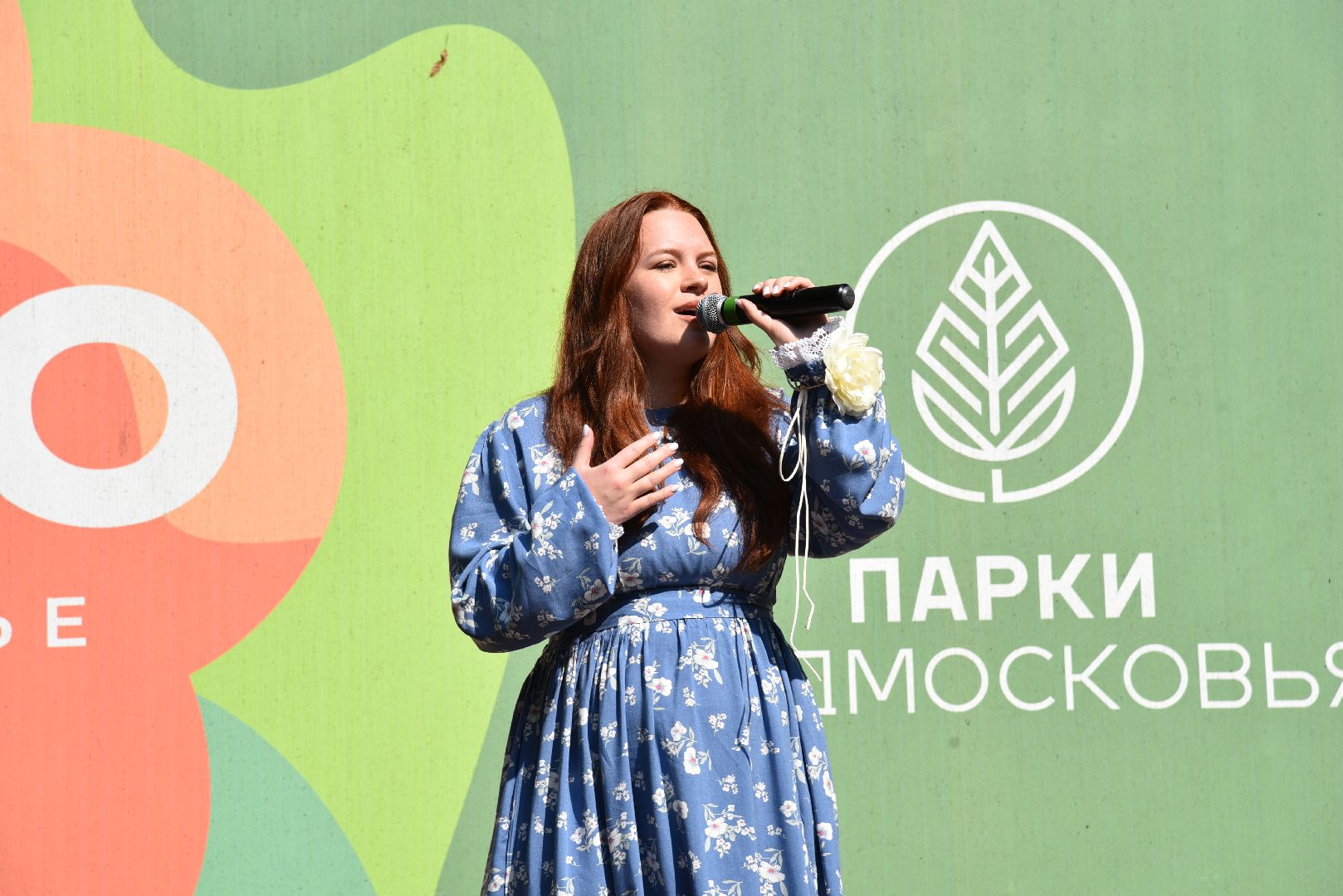 лотошино, день флага россии, день государственного флага россии, парки подмосковья, лотошинский парк, концерт,