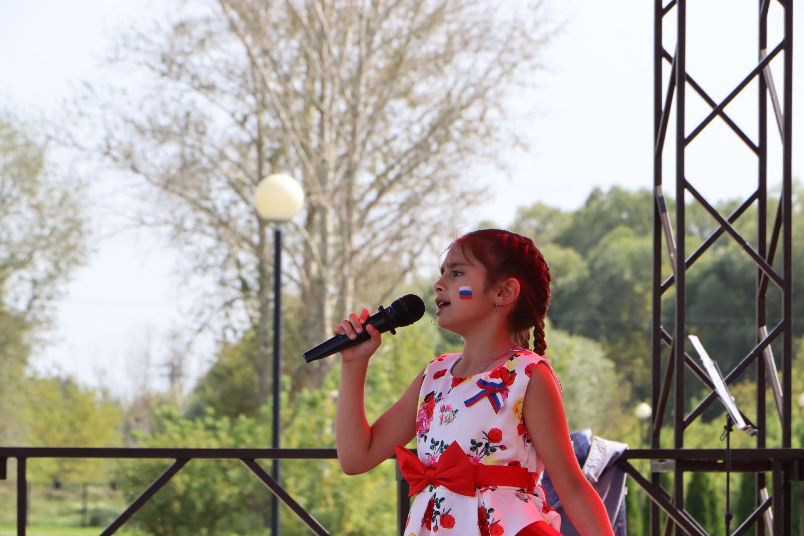 Серебряные Пруды, День флага, триколор, Парк Серебряный,