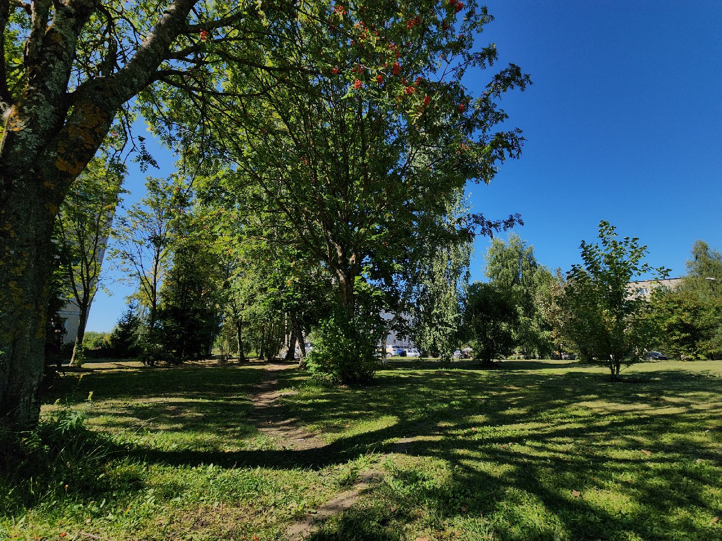 Солнышко, Сквер, реконструкция сквера, колюбакино, благоустройство, руза, рузский городской округ,