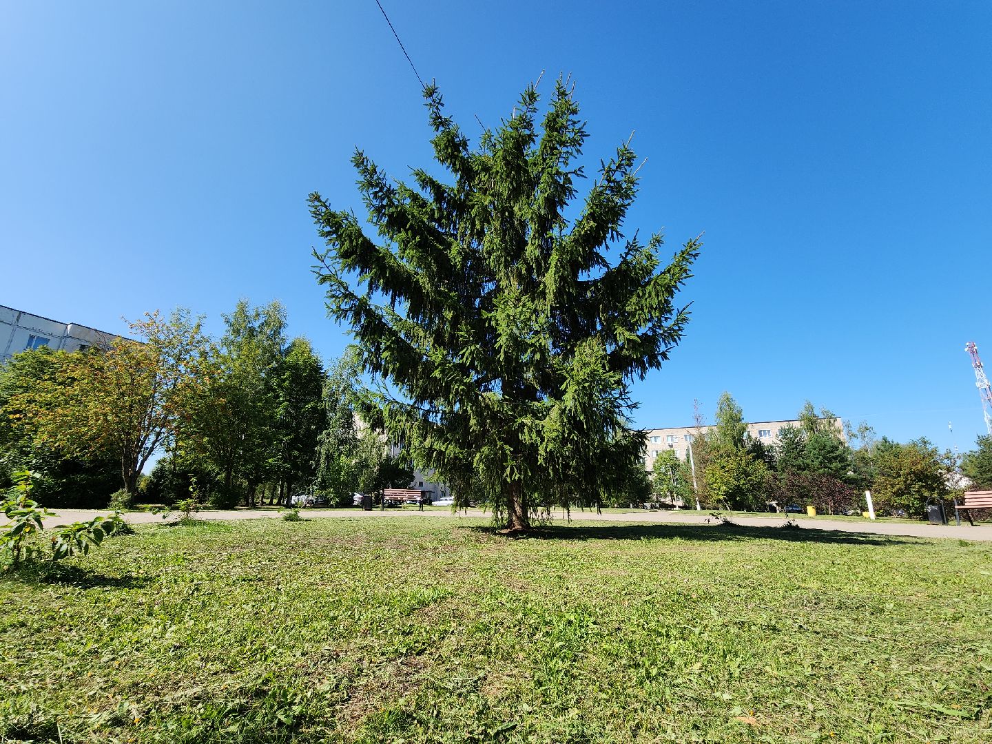 Солнышко, Сквер, реконструкция сквера, колюбакино, благоустройство, руза, рузский городской округ,