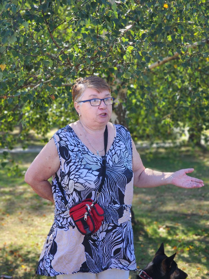 Солнышко, Сквер, реконструкция сквера, колюбакино, благоустройство, руза, рузский городской округ,