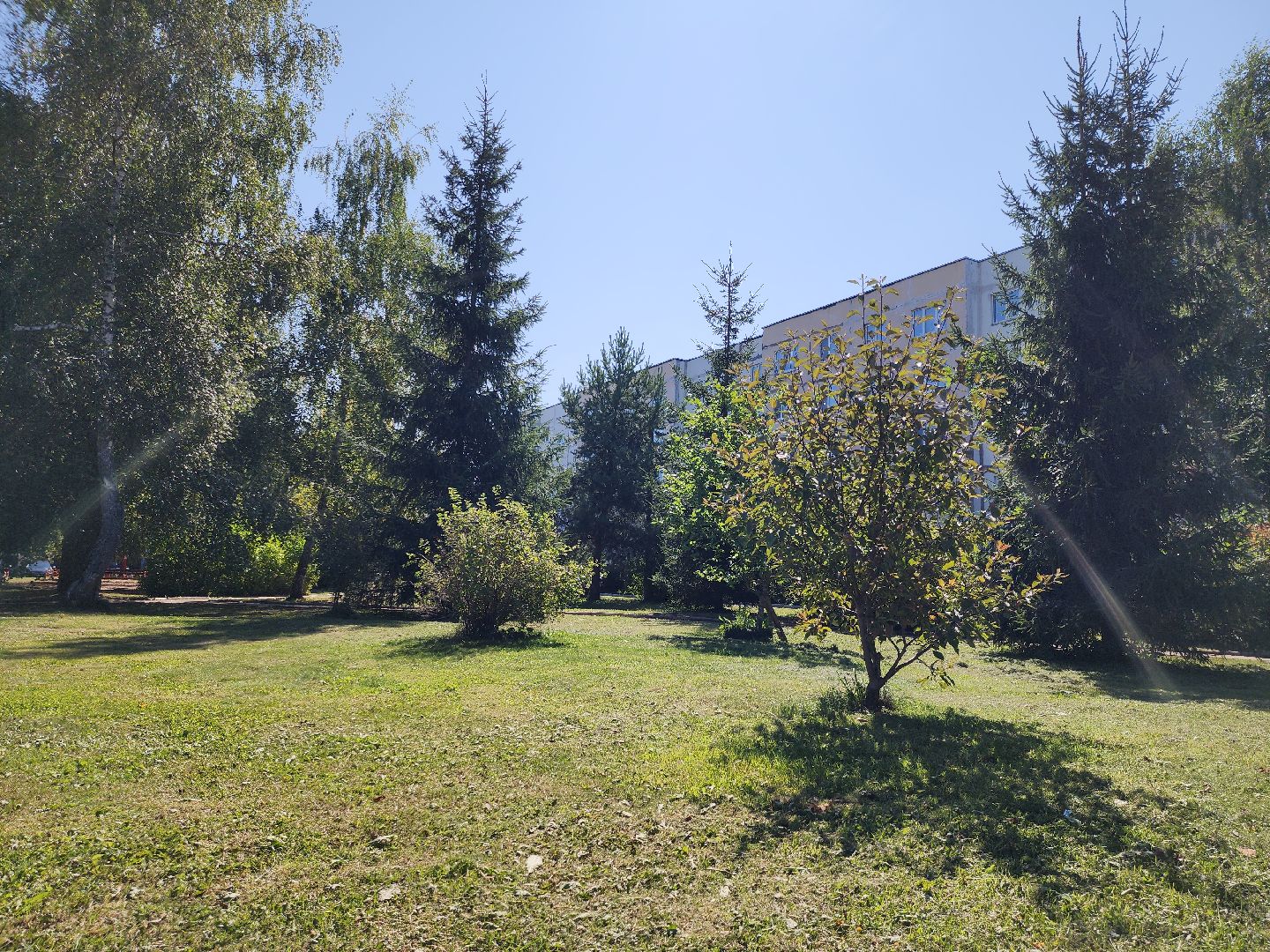 Солнышко, Сквер, реконструкция сквера, колюбакино, благоустройство, руза, рузский городской округ,