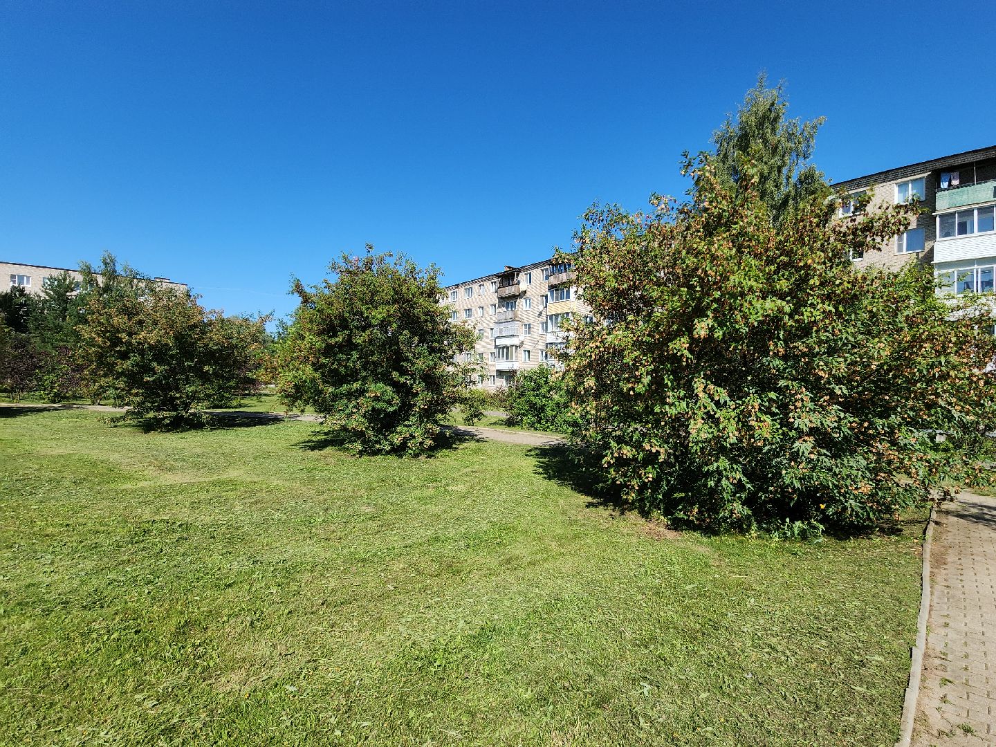 Солнышко, Сквер, реконструкция сквера, колюбакино, благоустройство, руза, рузский городской округ,