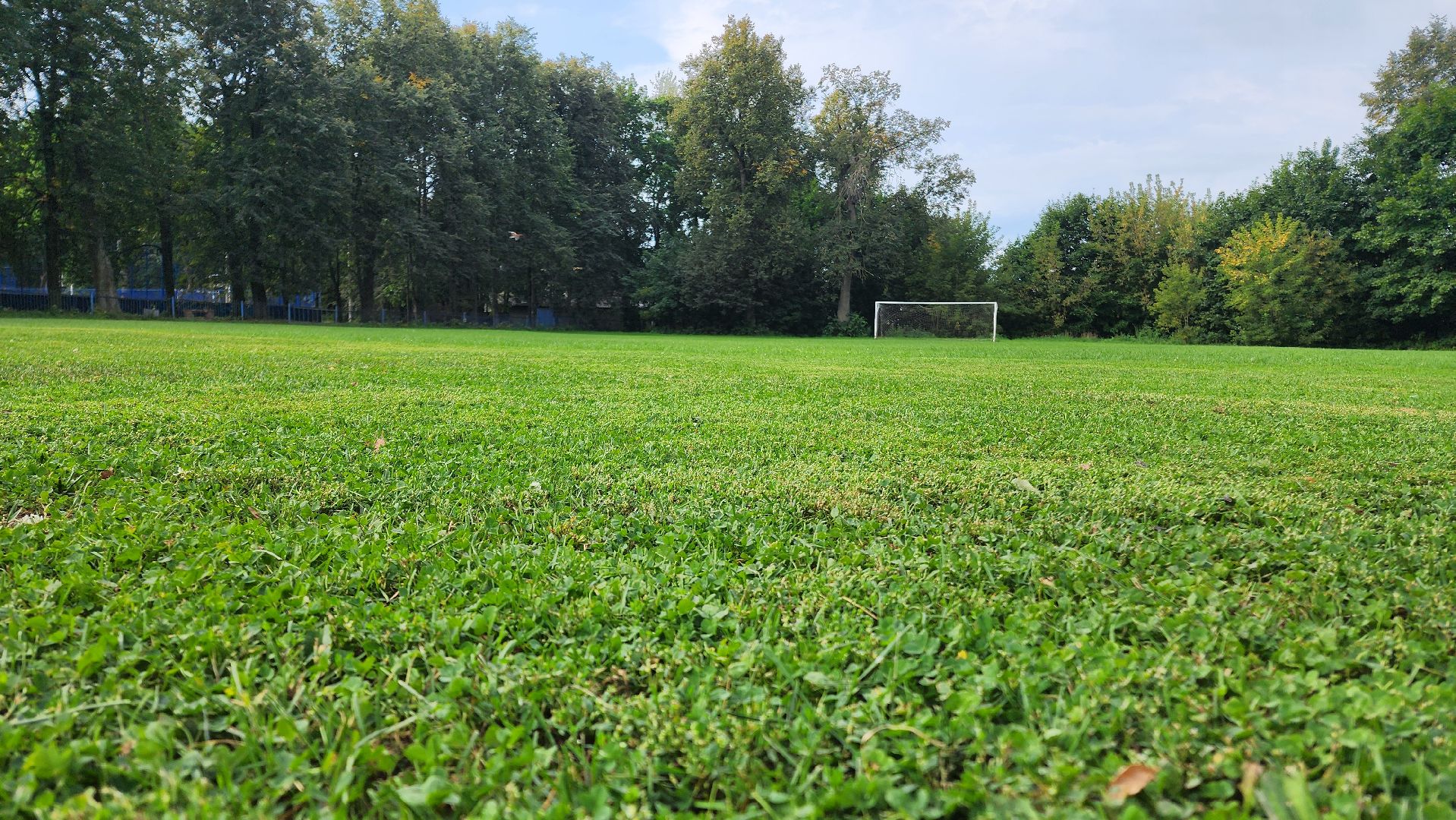 Футбол, спорт норма жизни, Демография, Футбольное поле, Благоустройство, Домодедово, Подмосковье,