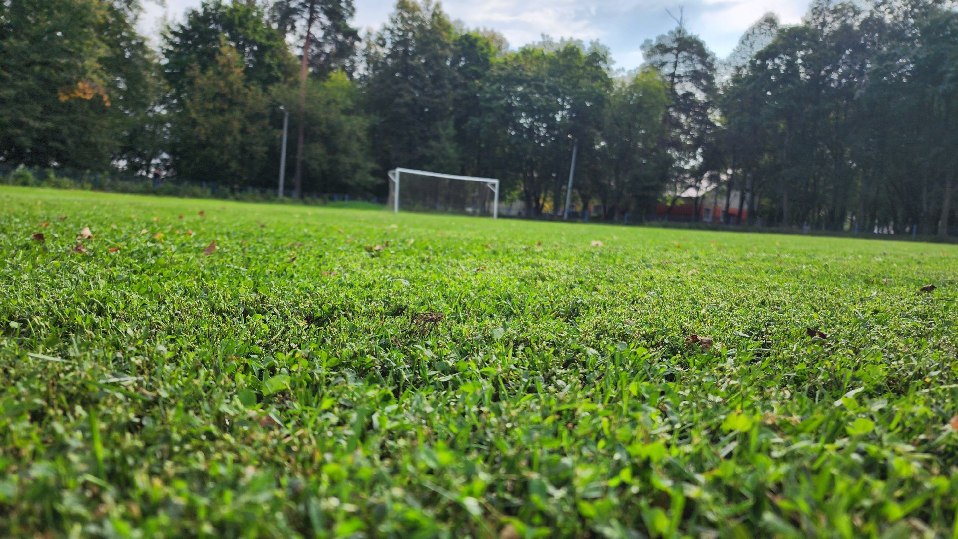 Футбол, спорт норма жизни, Демография, Футбольное поле, Благоустройство, Домодедово, Подмосковье,