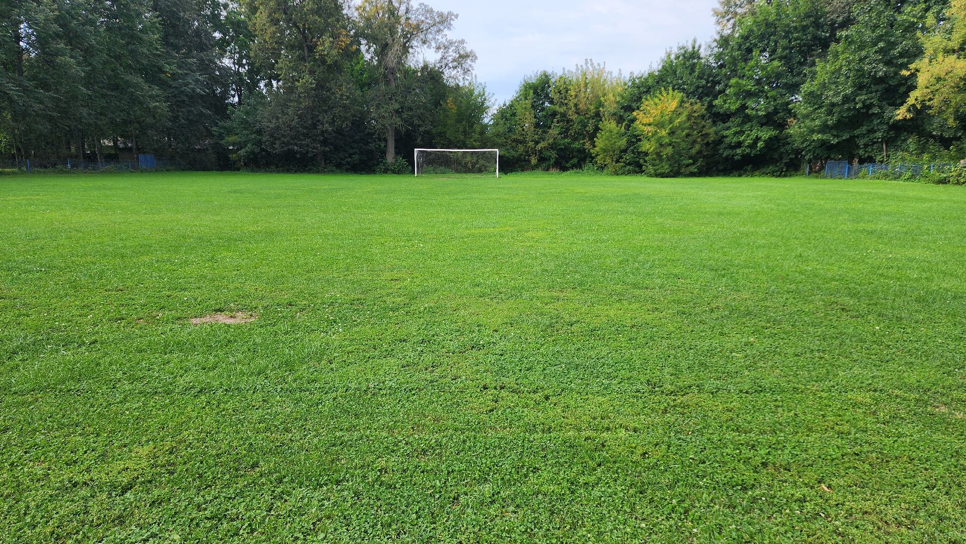 Футбол, спорт норма жизни, Демография, Футбольное поле, Благоустройство, Домодедово, Подмосковье,