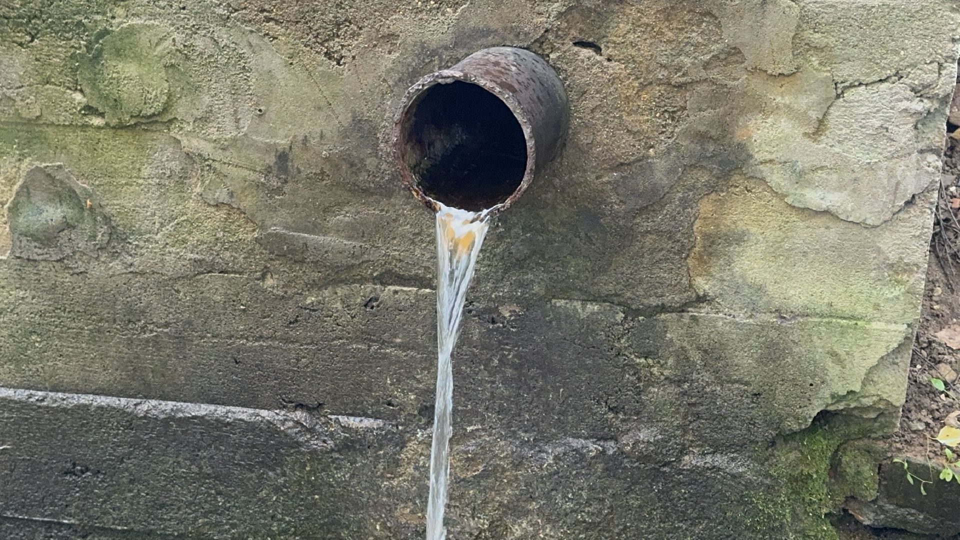 Солнечногорск, Ремонт, Родник, Специалисты, Жители,