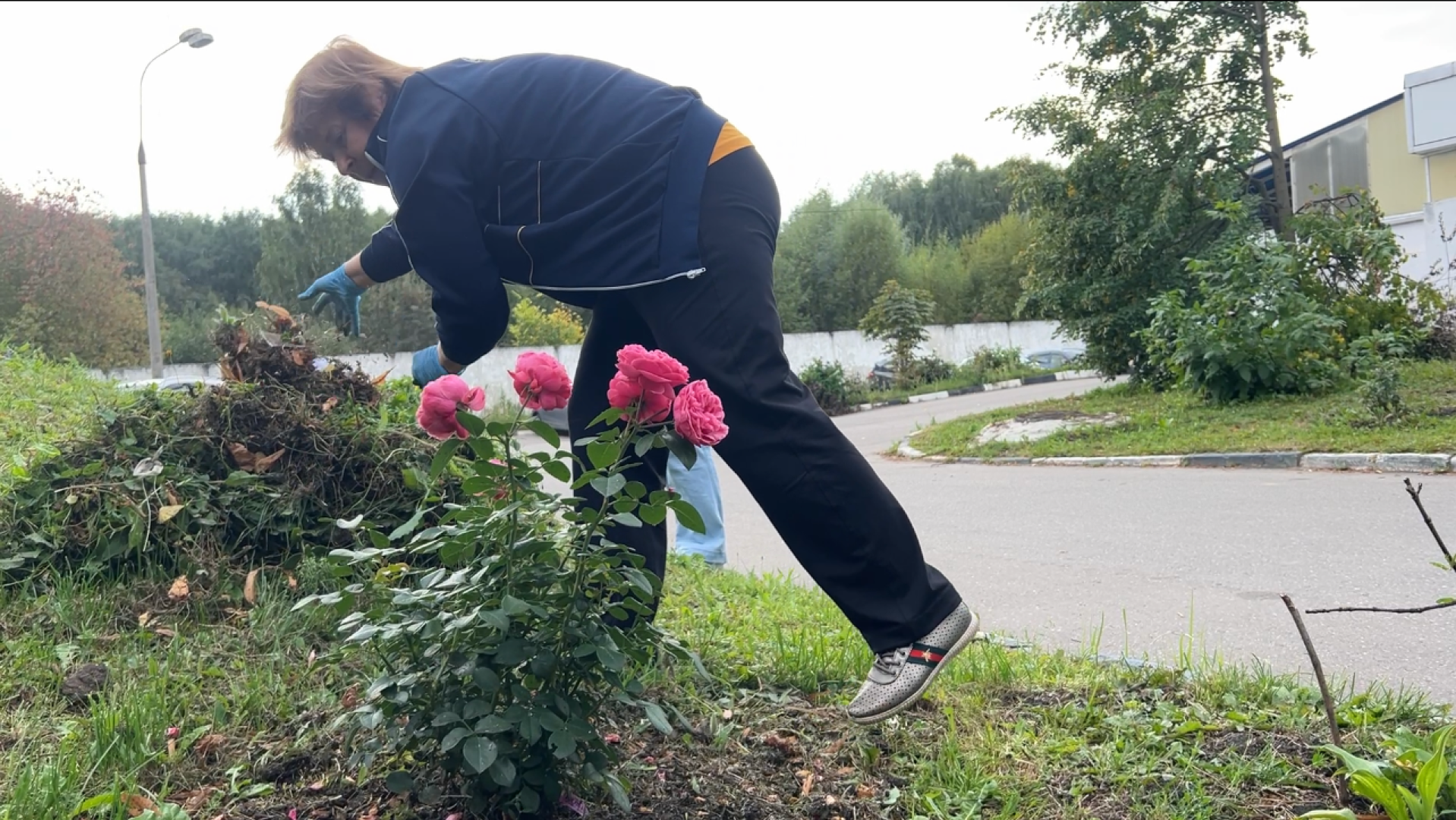 химки, благоустройство, больница,садоводство, клумбы,