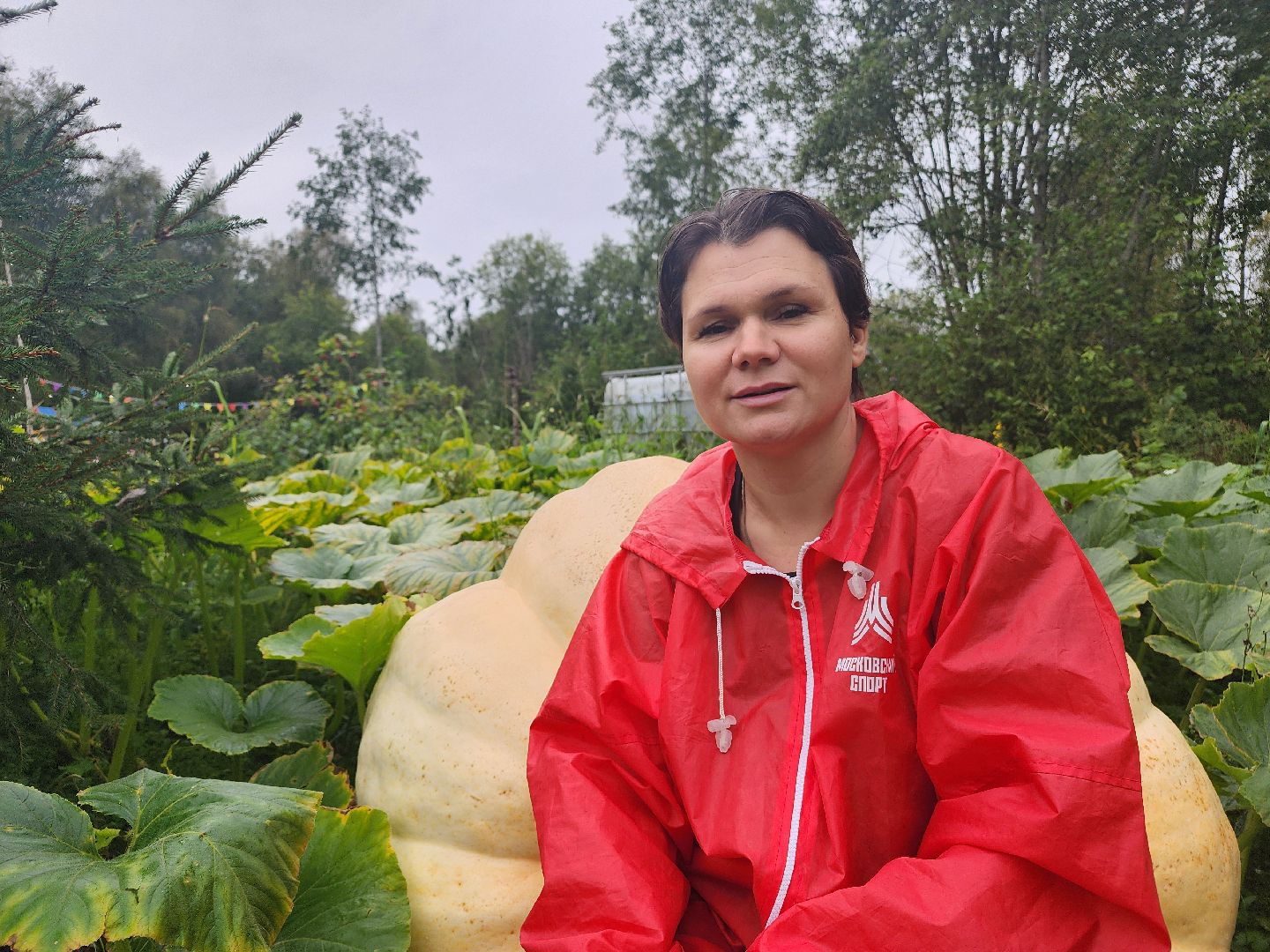 рекорд, тыква, волоколамск,