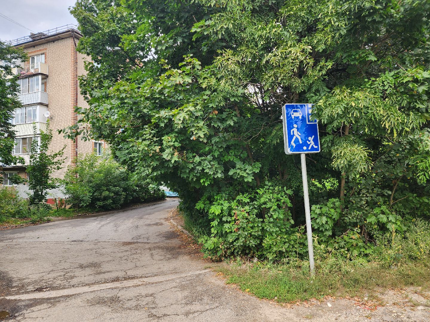 красноармейск, городской округ пушкинский, выездная администрация, дорожная безопасность,