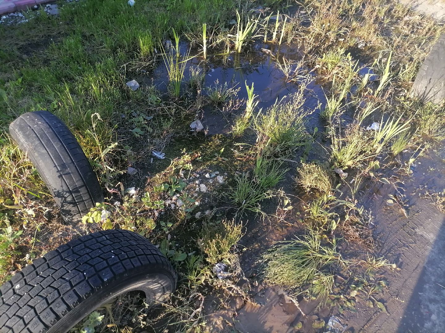 выездная администрация, ликино-дулево, орехово-зуевский округ,