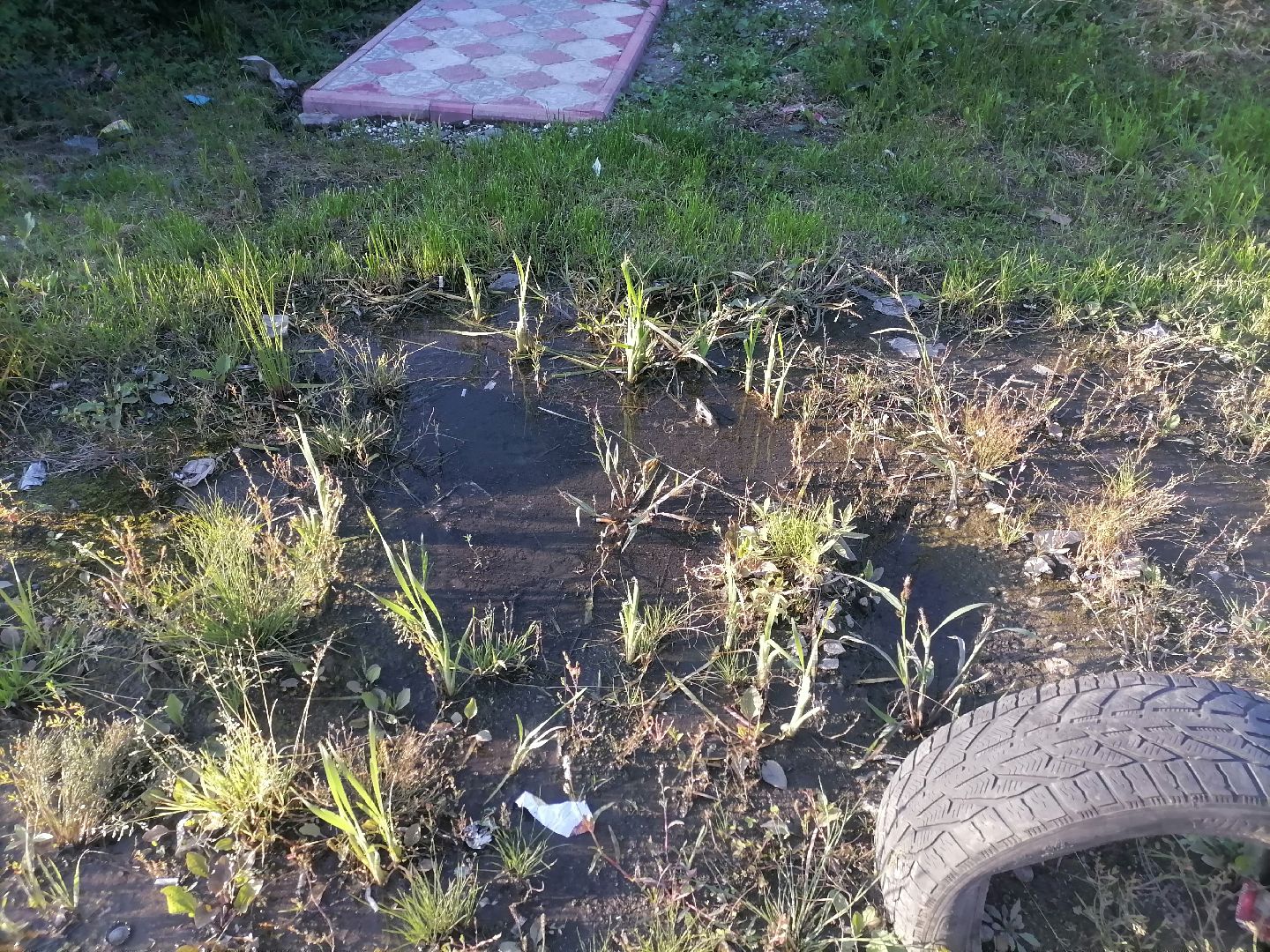 выездная администрация, ликино-дулево, орехово-зуевский округ,