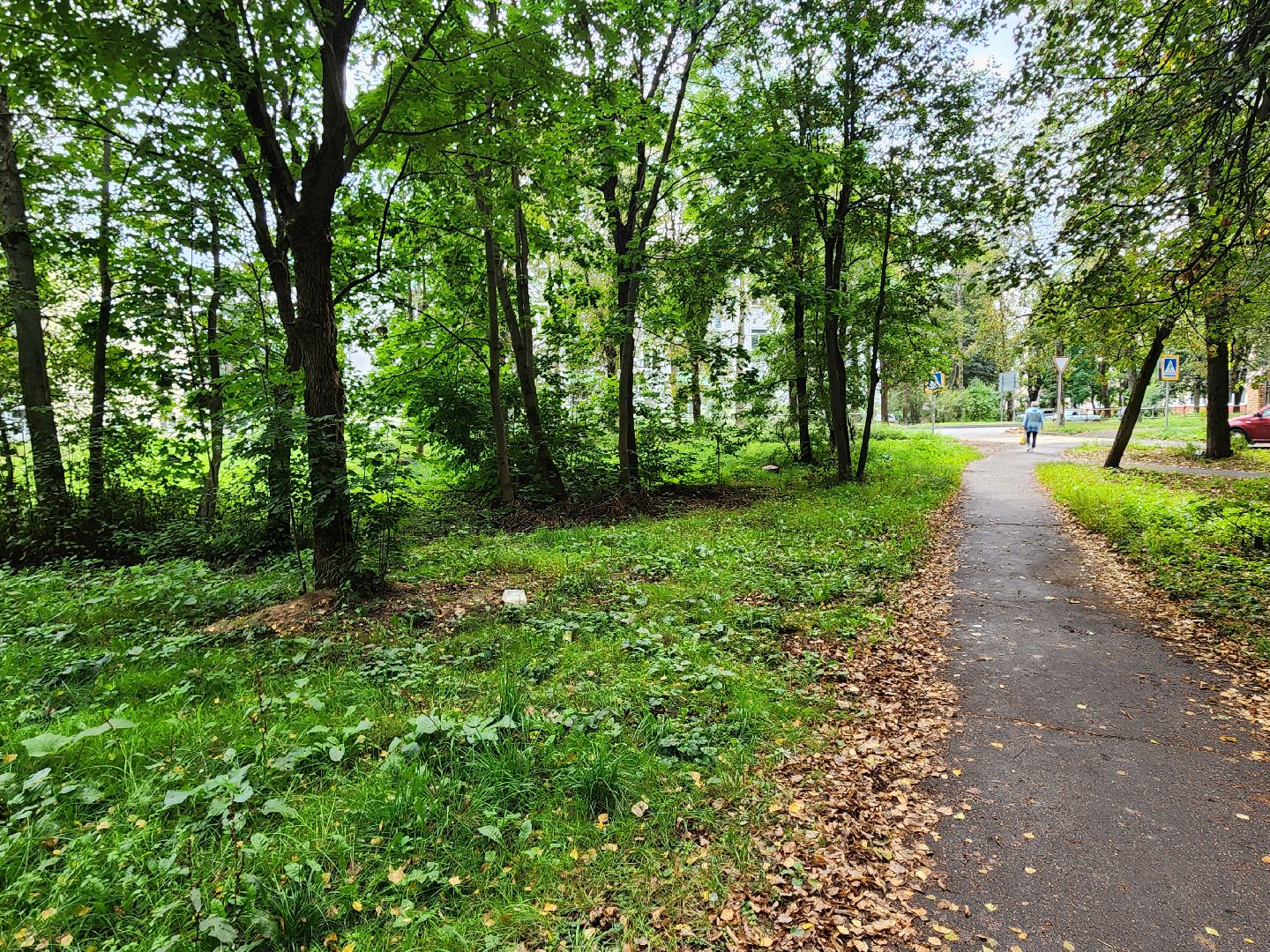 красноармейск, городской округ пушкинский, выездная администрация, обращение жителей,